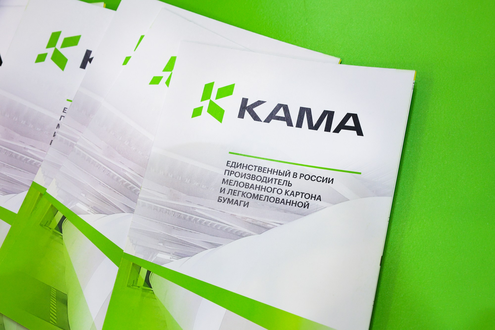 PulpFor 2024. Фотограф Дарья Попова