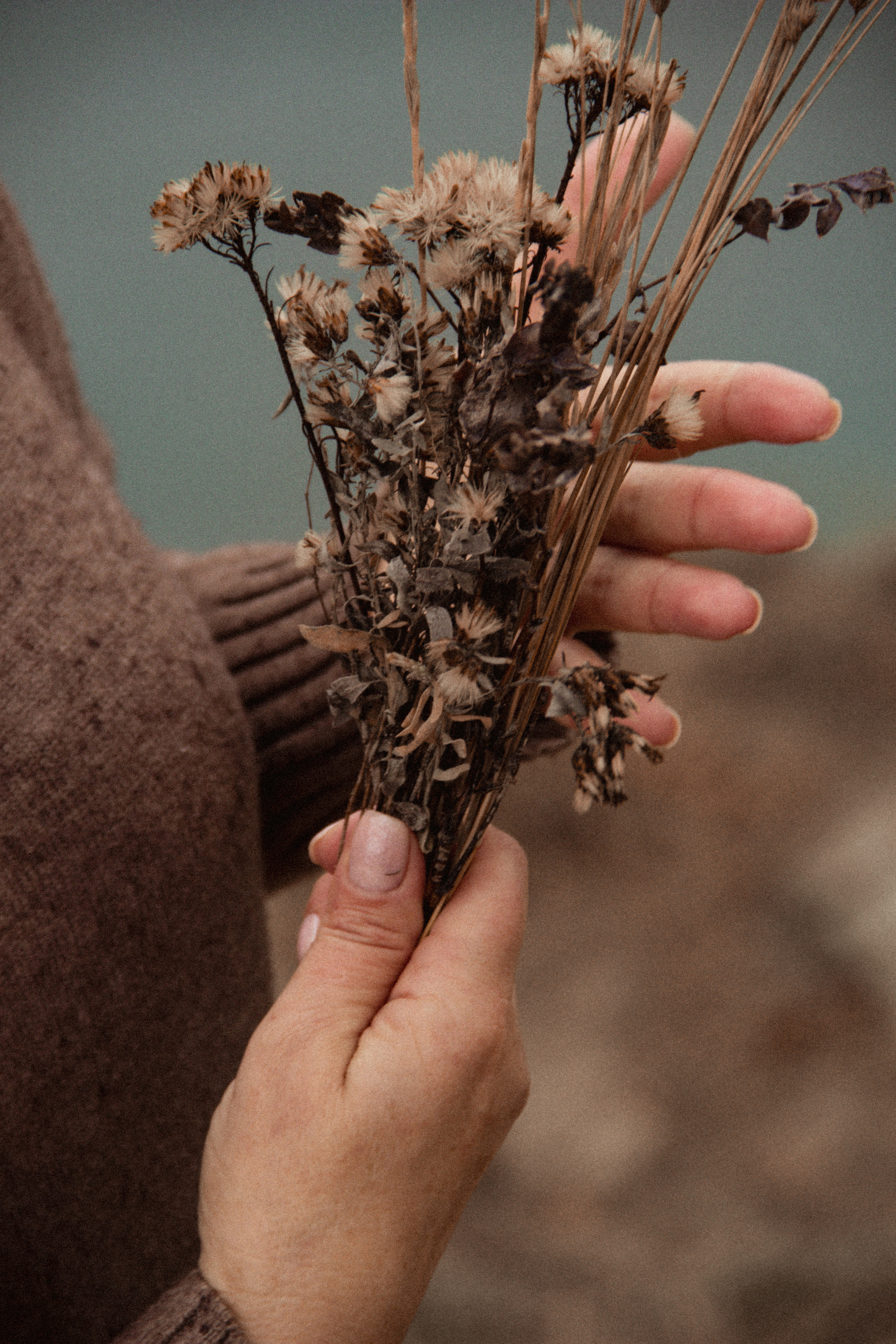 Прогулка в горы в дождь. Фотограф Санкт-Петербург, Новороссийск