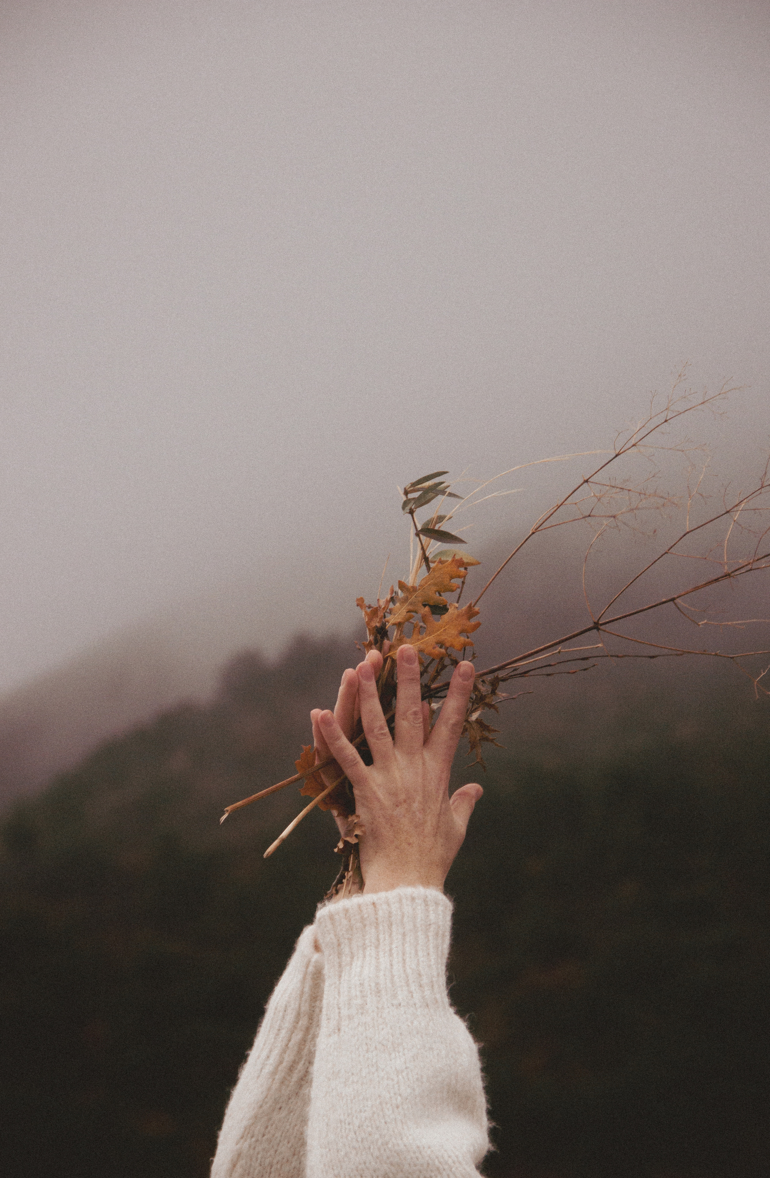На горе. Фотограф Санкт-Петербург, Новороссийск