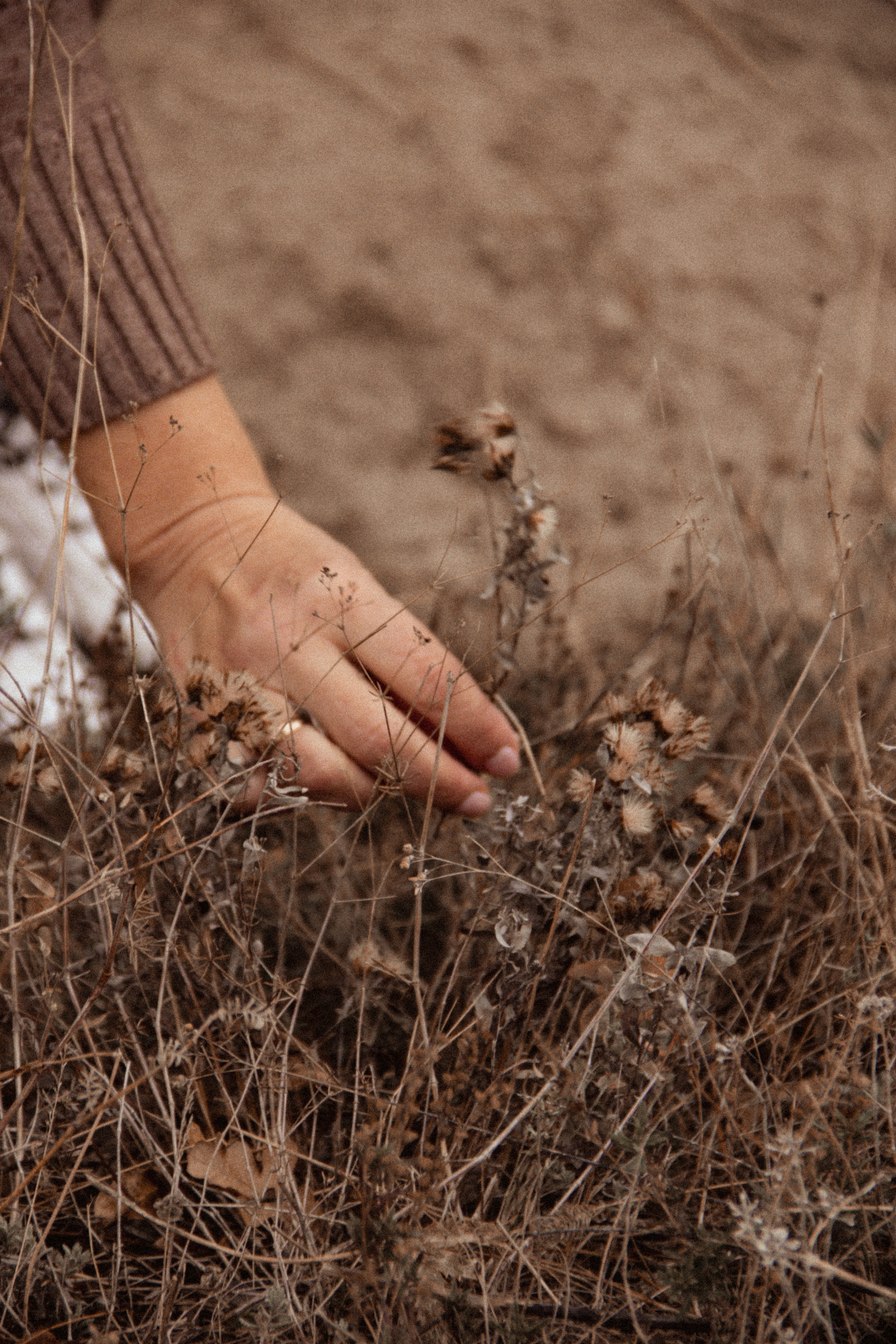 Прогулка в горы в дождь. Фотограф Санкт-Петербург, Новороссийск