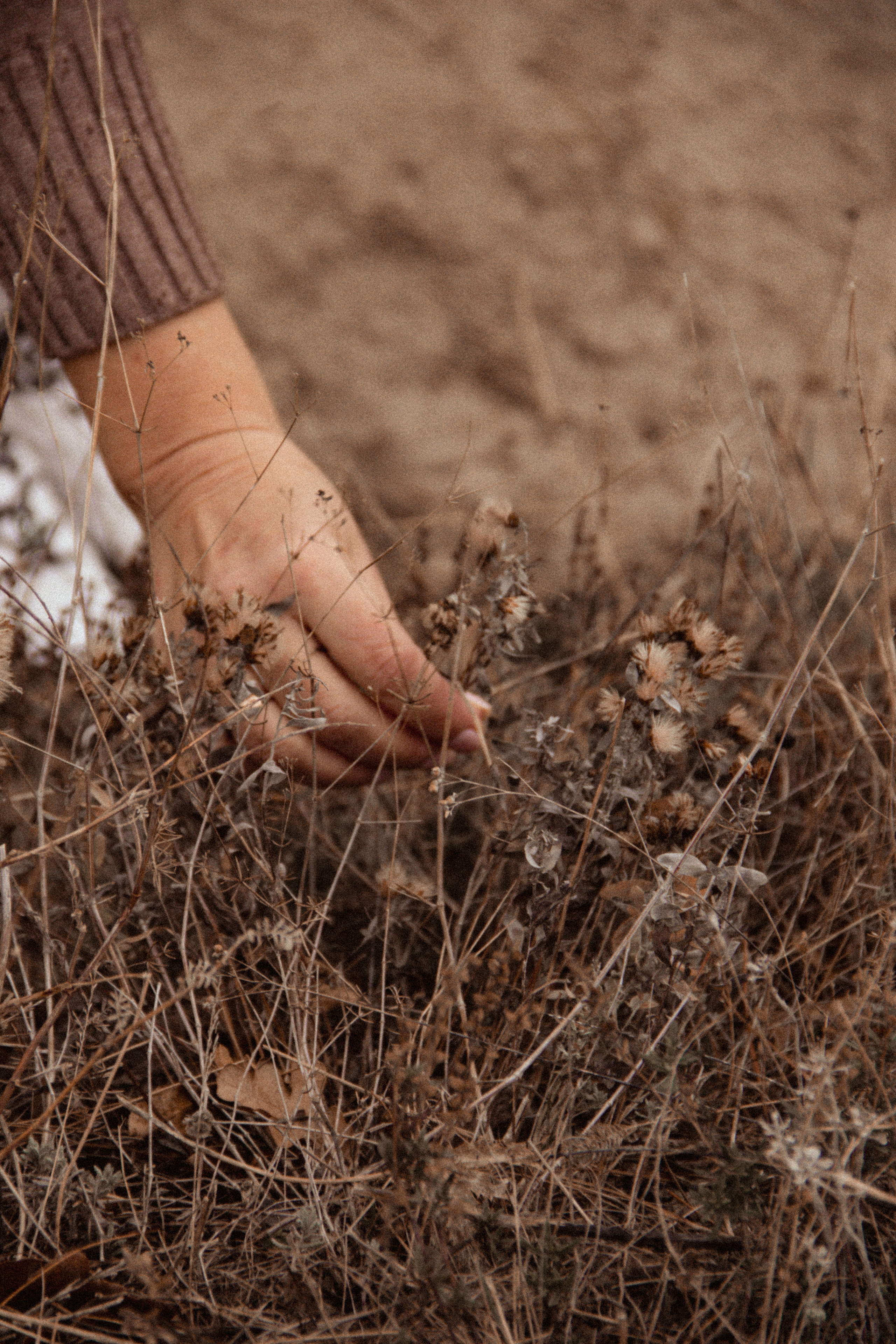 Прогулка в горы в дождь. Фотограф Санкт-Петербург, Новороссийск
