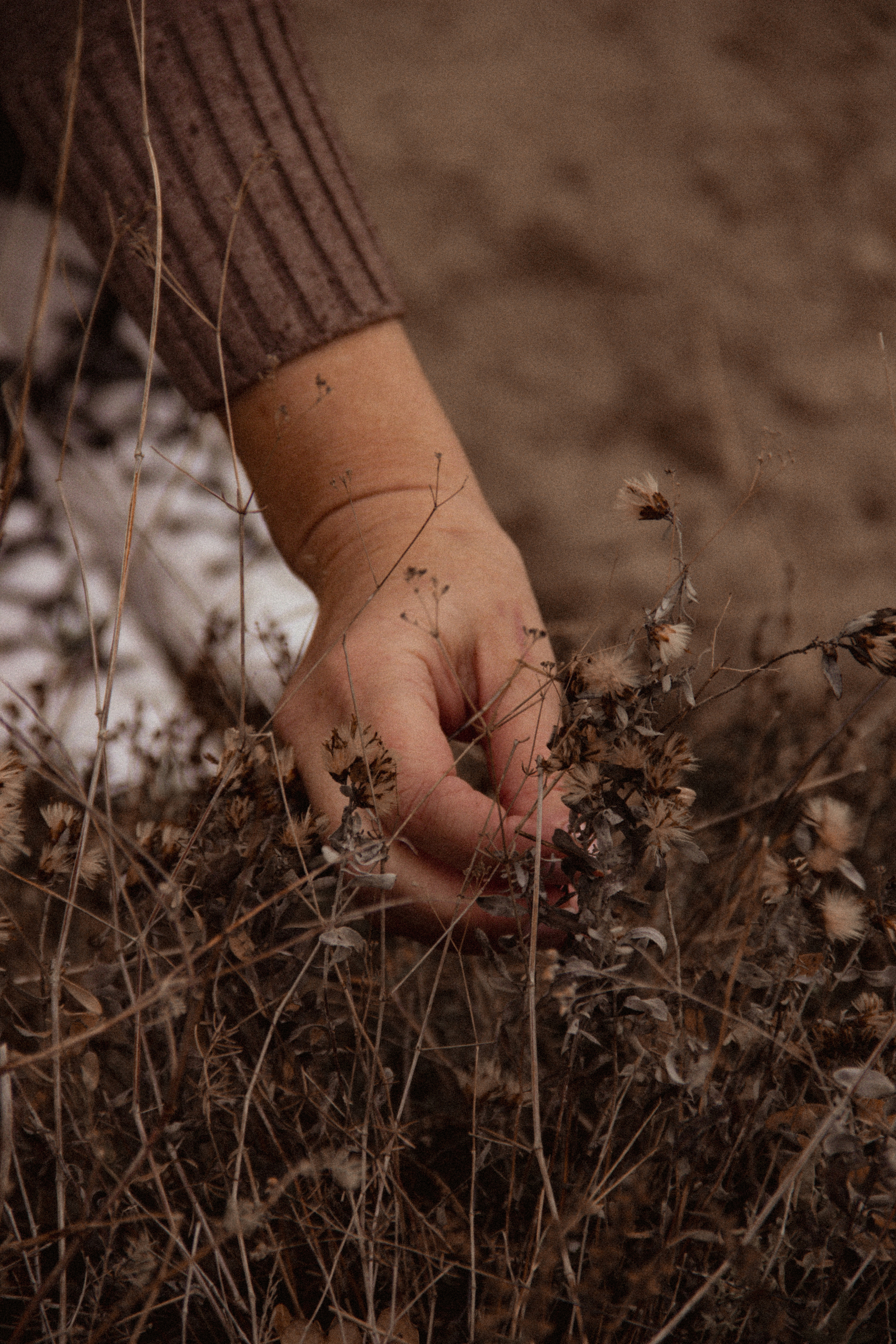 Прогулка в горы в дождь. Фотограф Санкт-Петербург, Новороссийск
