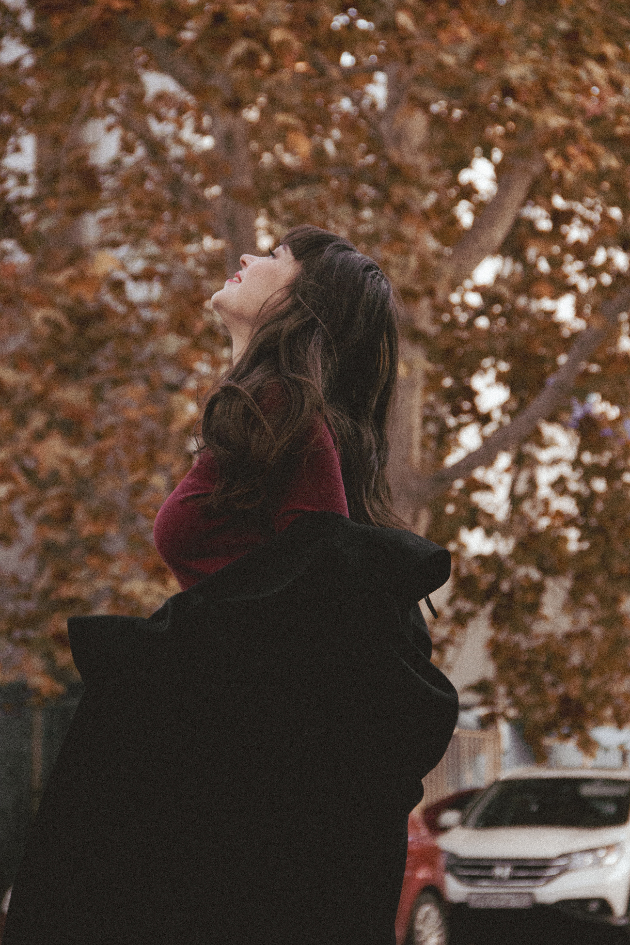 Осень в Новороссийске. Фотограф Санкт-Петербург, Новороссийск