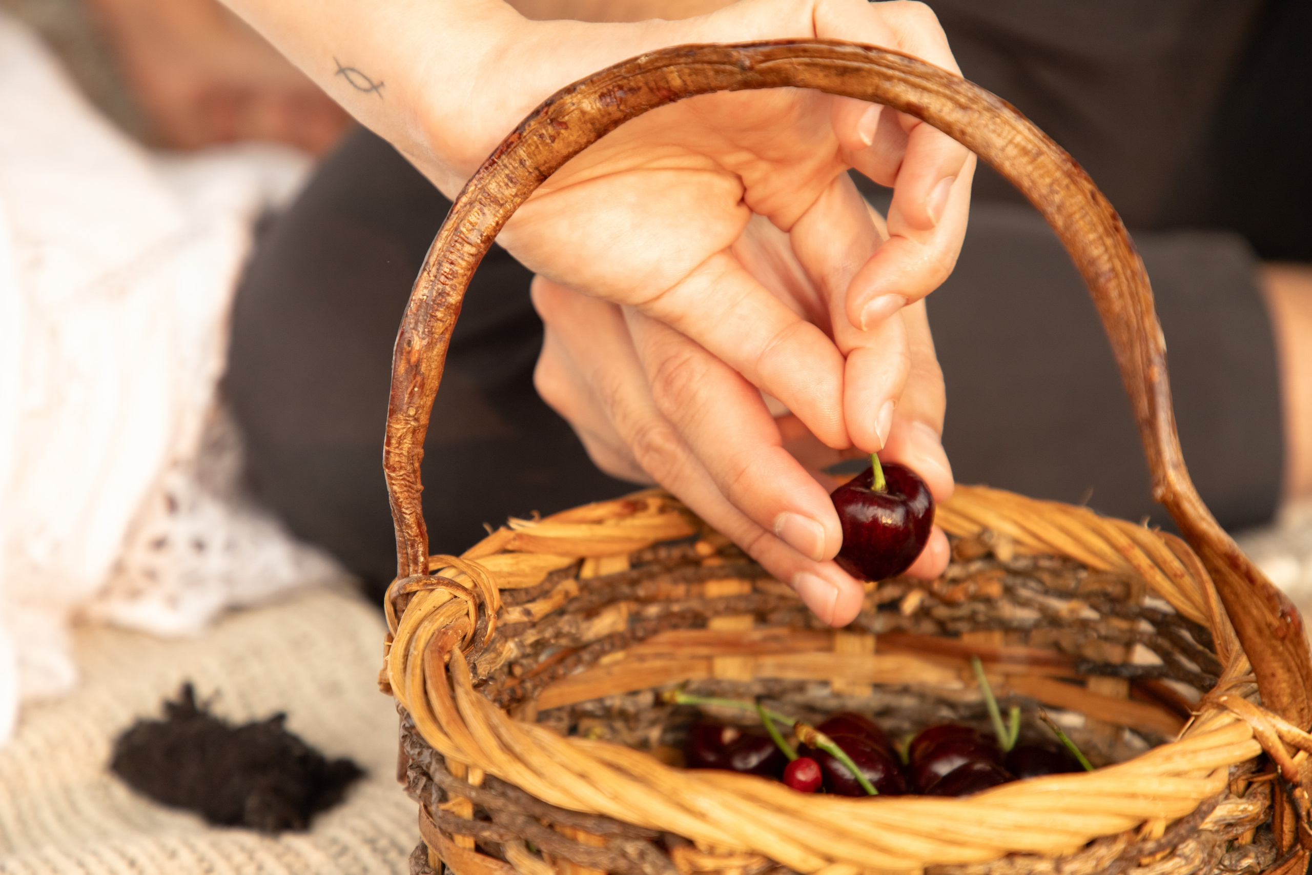 Love Story. Family photographer in Eastern Pennsylvania, Inna Nairn