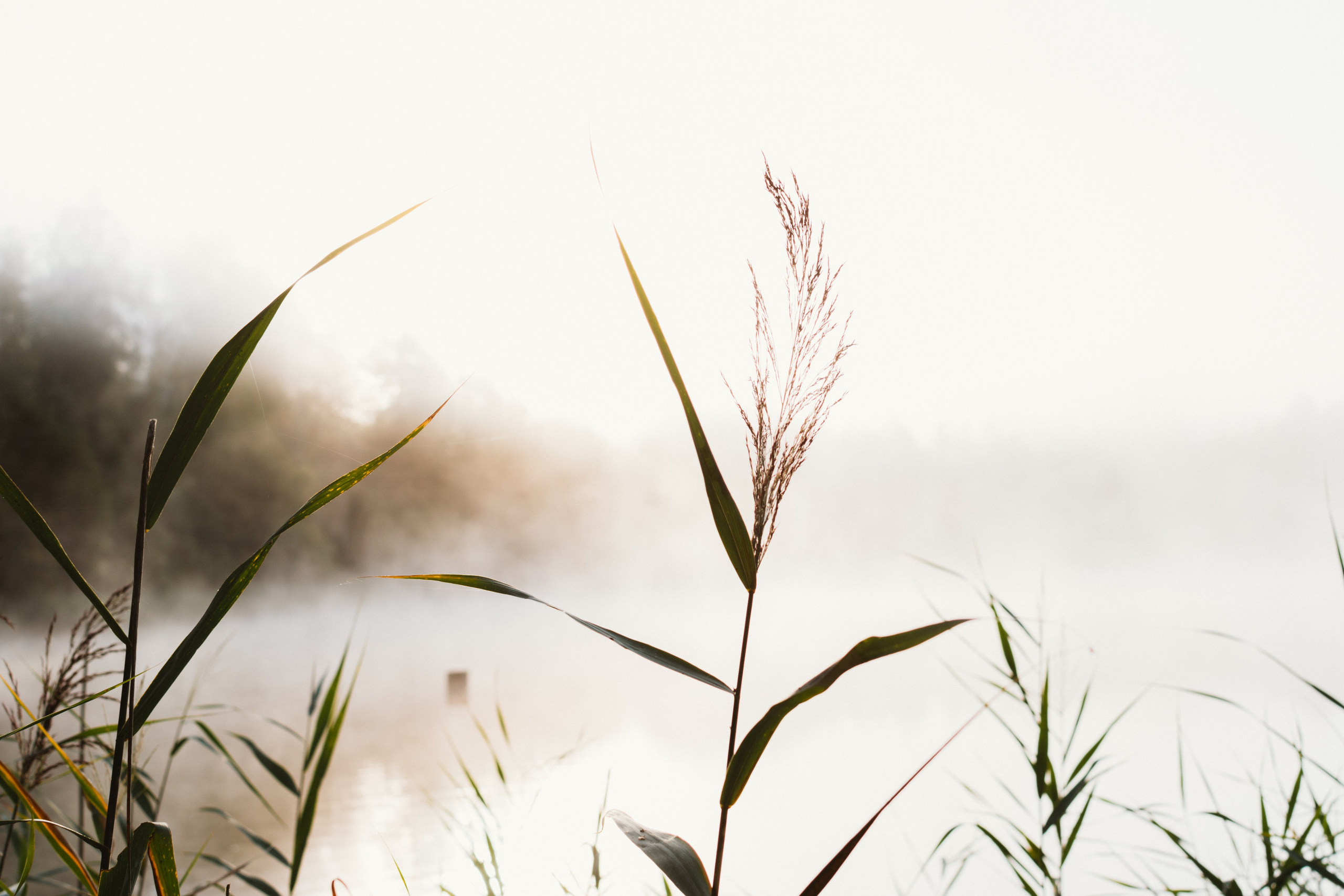 Рассвет на озере с Мариной. Портретный и репортажный Фотограф в Москве Александра Комарницкая