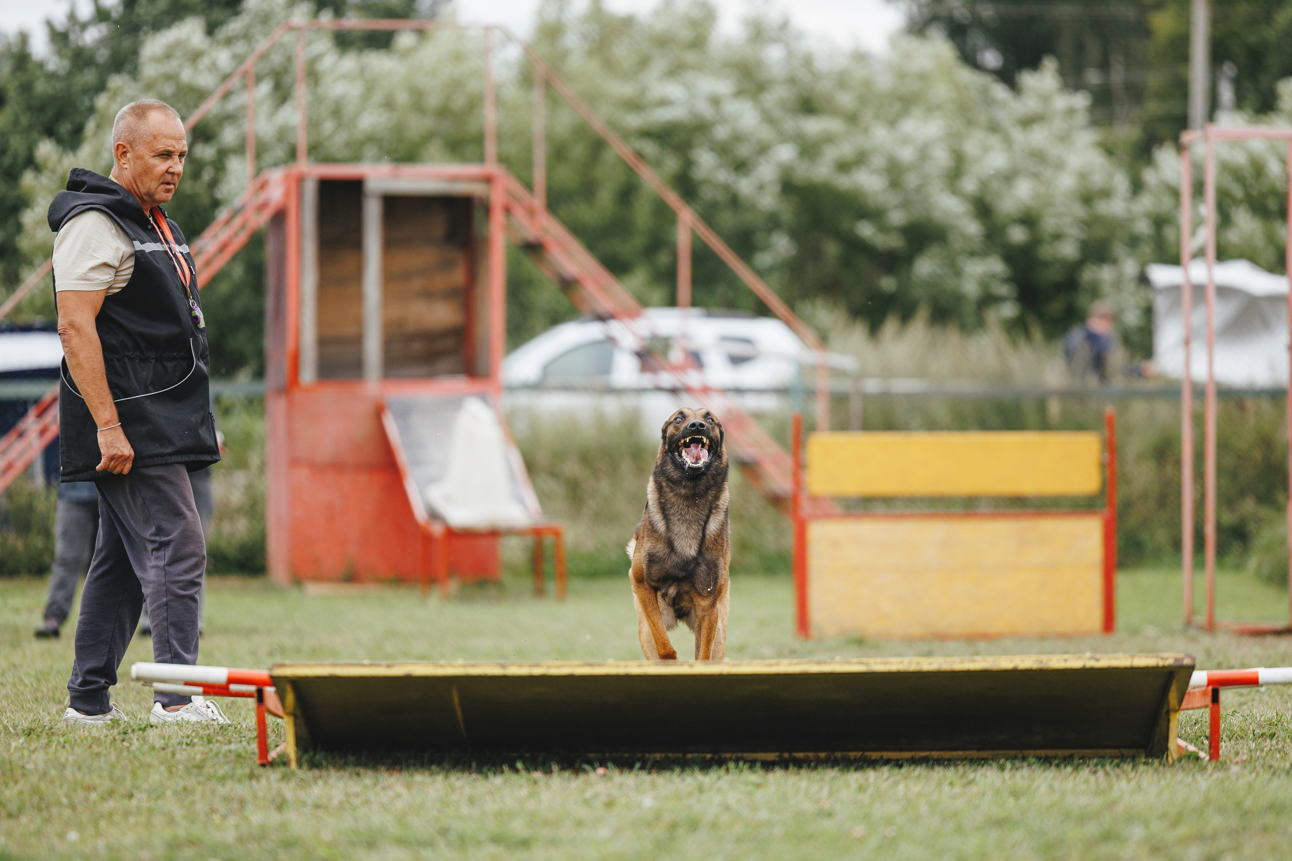 08.08.25-10.08.25 ЧР по мондьорингу г. Вологда. Фотограф-анималист Анна Маринич