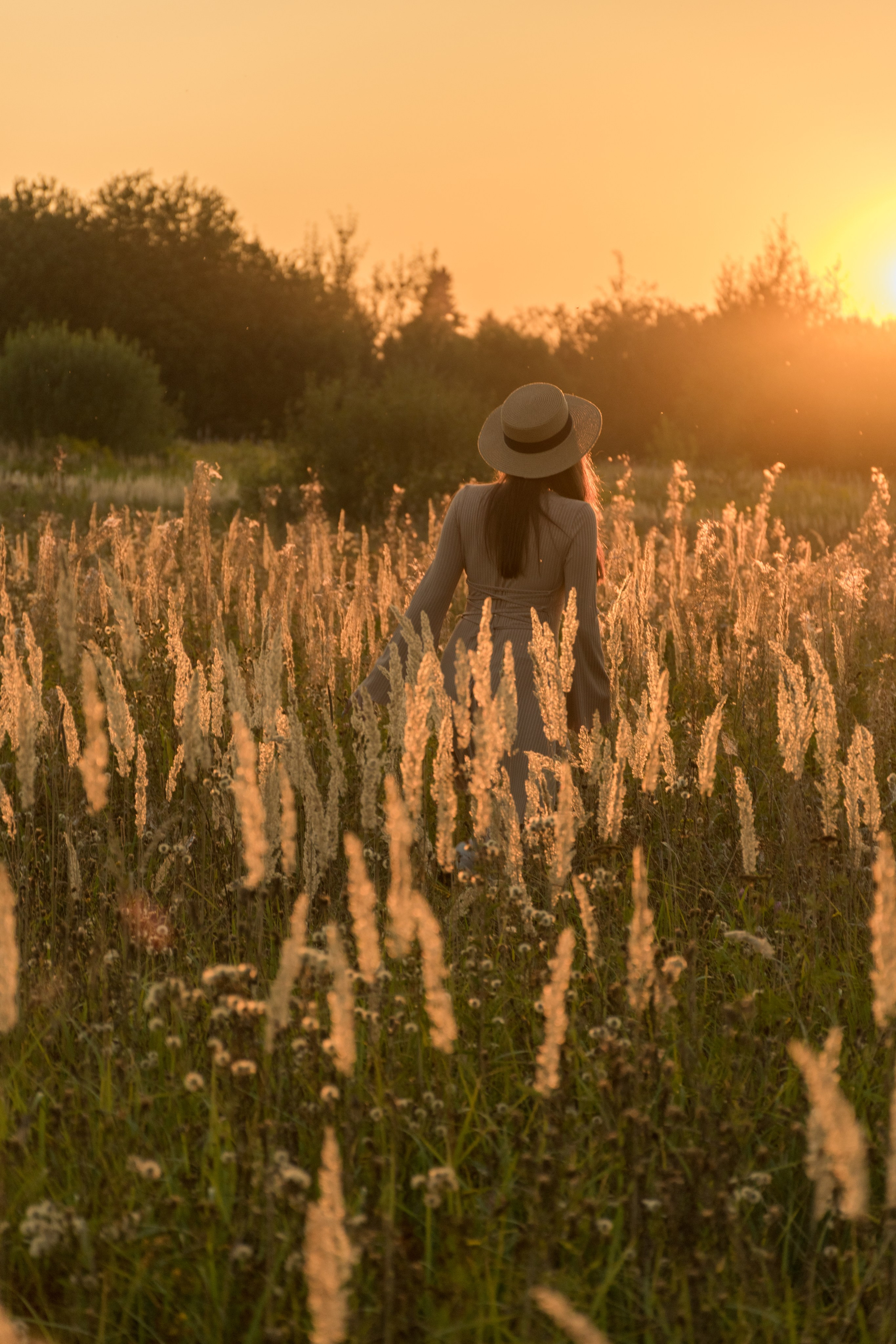 Алина и Влад на закате. Фотограф в Павловском Посаде, Москве Елена Фролова