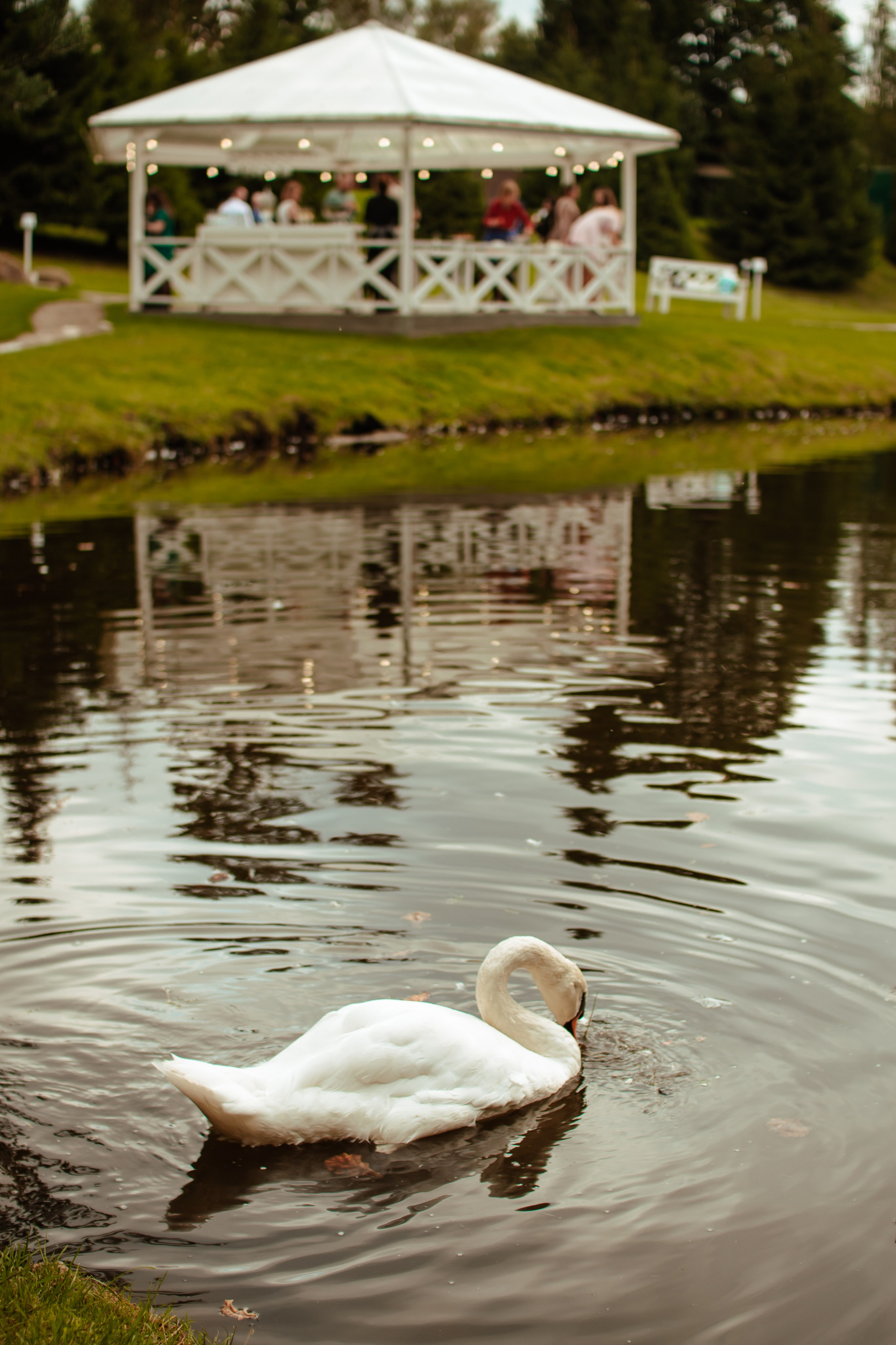 Свадебные съемки. Свадебный фотограф в Санкт-Петербурге Вероника Пуцейко