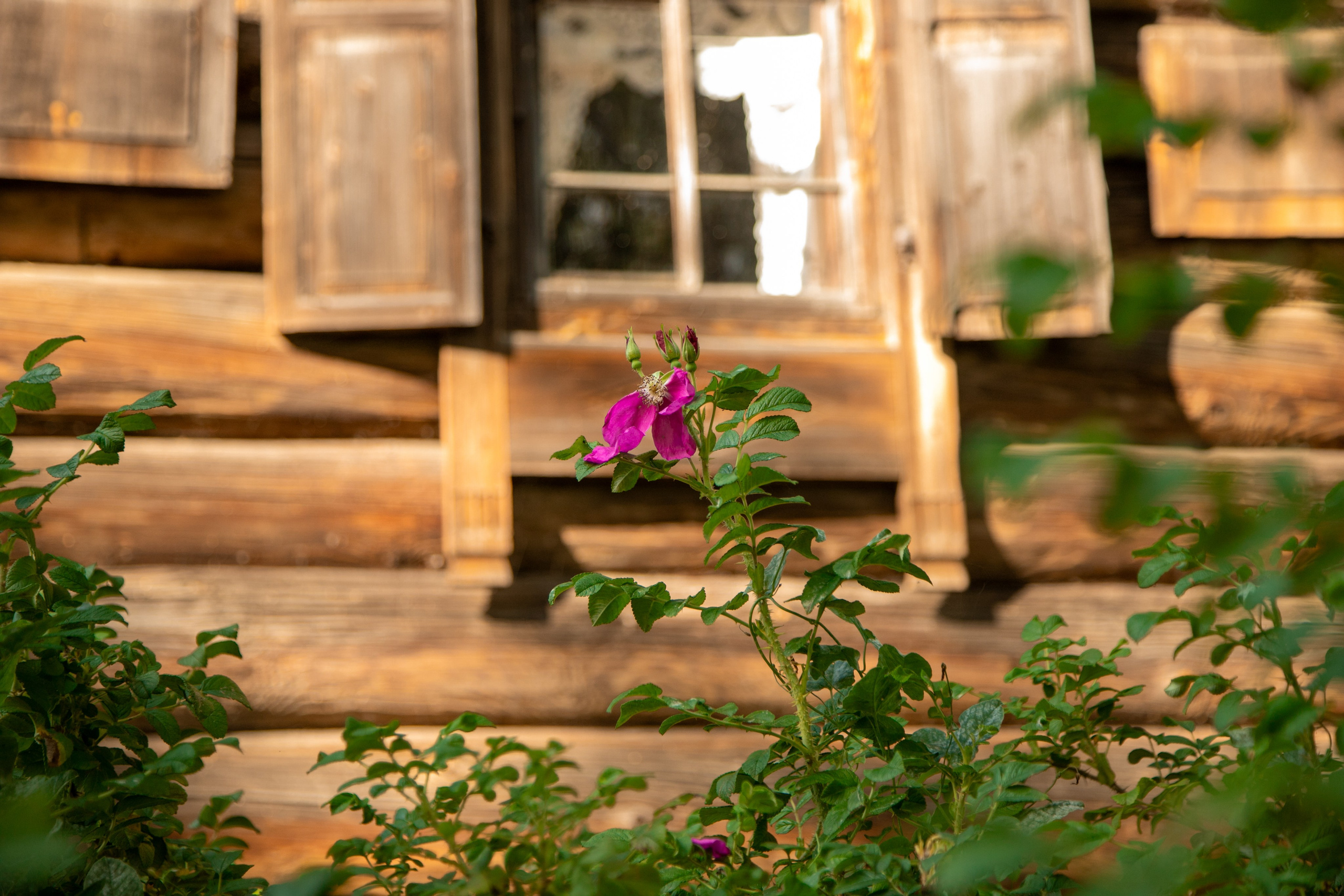 Кострома 06.09.2025. Репортажный фотограф в Москве Агафонова Мария