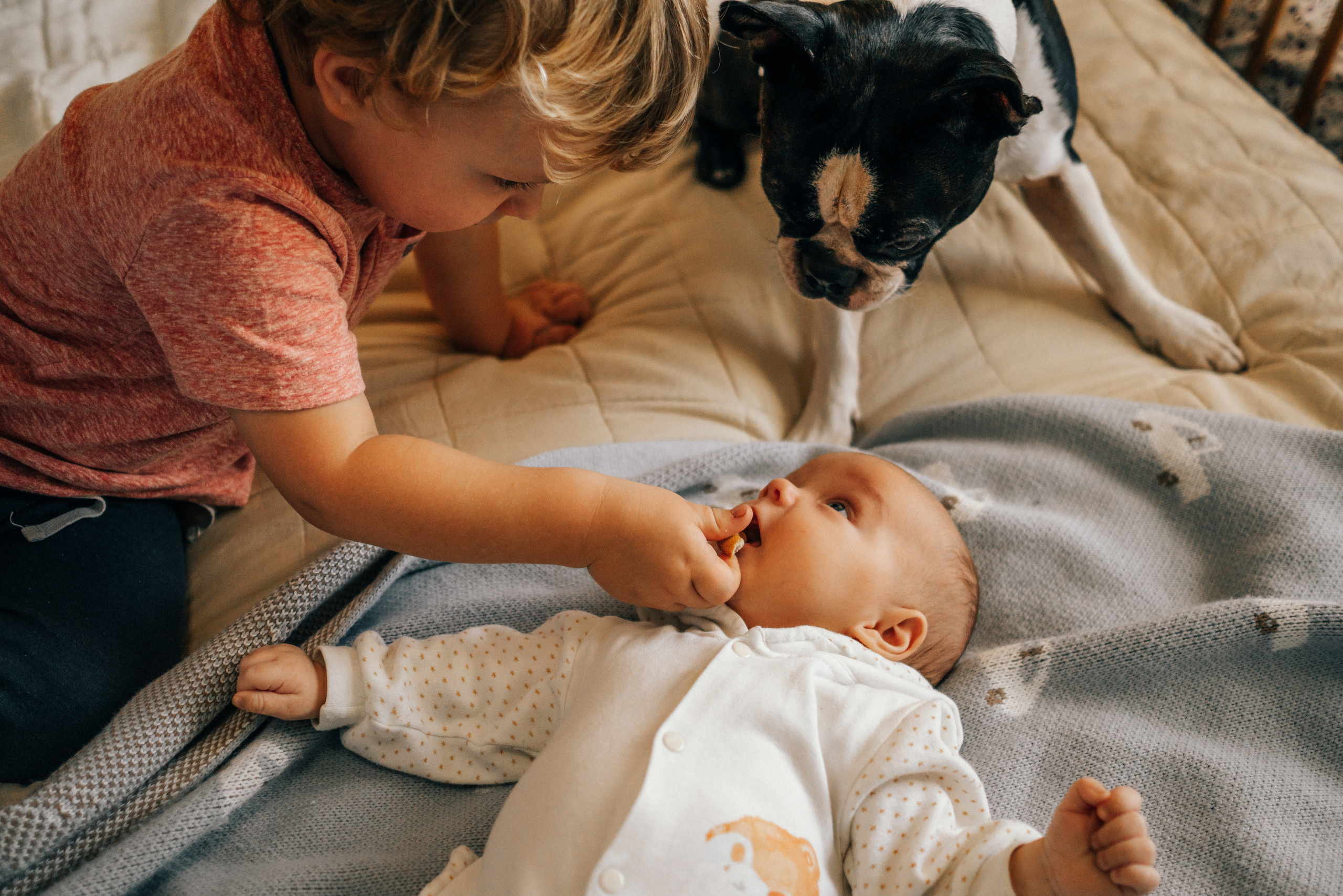 Семейная домашняя фотосессия с собакой в Санкт-Петербурге. Семейный и детский фотограф в Санкт-Петербурге Наталья Григорьева