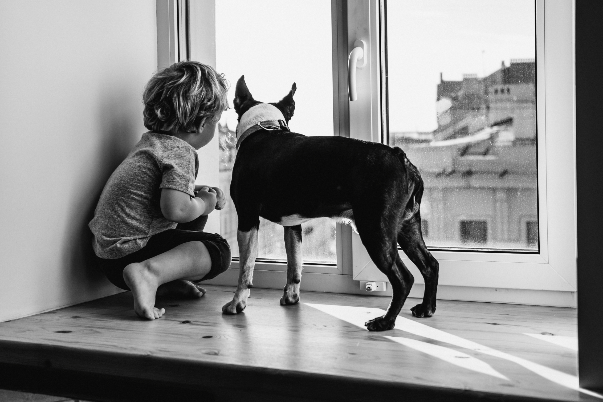 Семейная домашняя фотосессия с собакой в Санкт-Петербурге. Семейный и детский фотограф в Санкт-Петербурге Наталья Григорьева