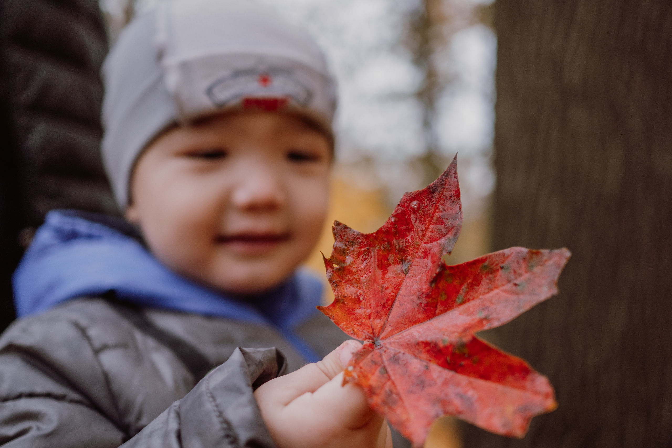 Осенняя семейная фотосессия в Санкт-Петербурге. Семейный и детский фотограф в Санкт-Петербурге Наталья Григорьева