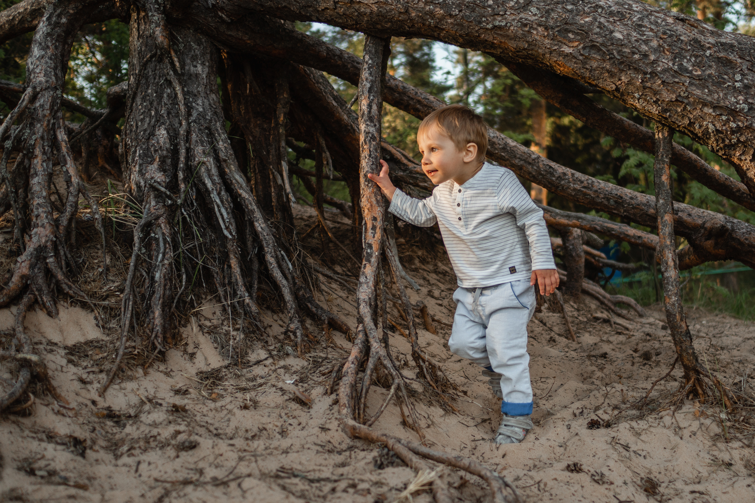 Семейная фотосессия на велосипедах. Семейный и детский фотограф в Санкт-Петербурге Наталья Григорьева