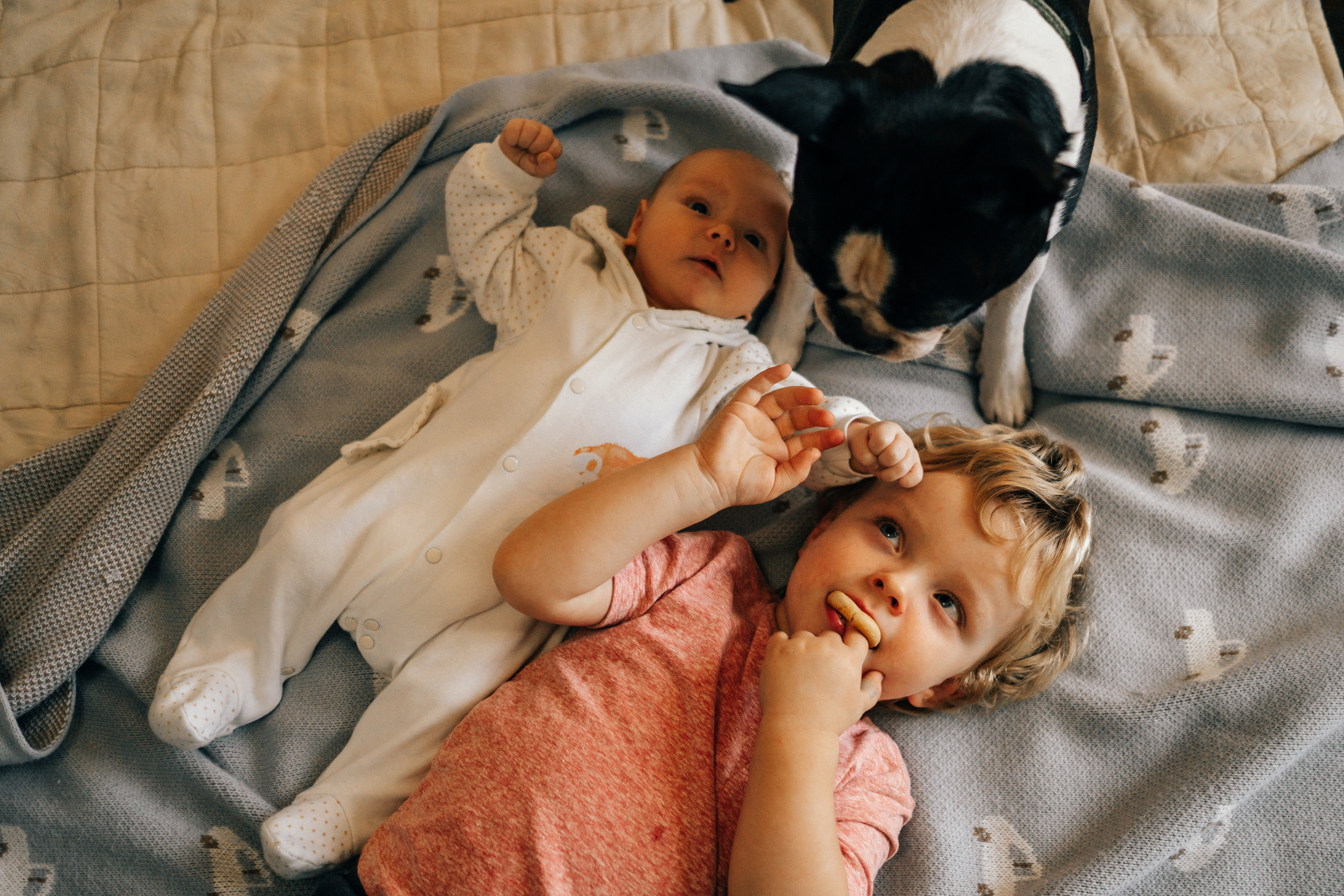 Семейная домашняя фотосессия с собакой в Санкт-Петербурге. Семейный и детский фотограф в Санкт-Петербурге Наталья Григорьева