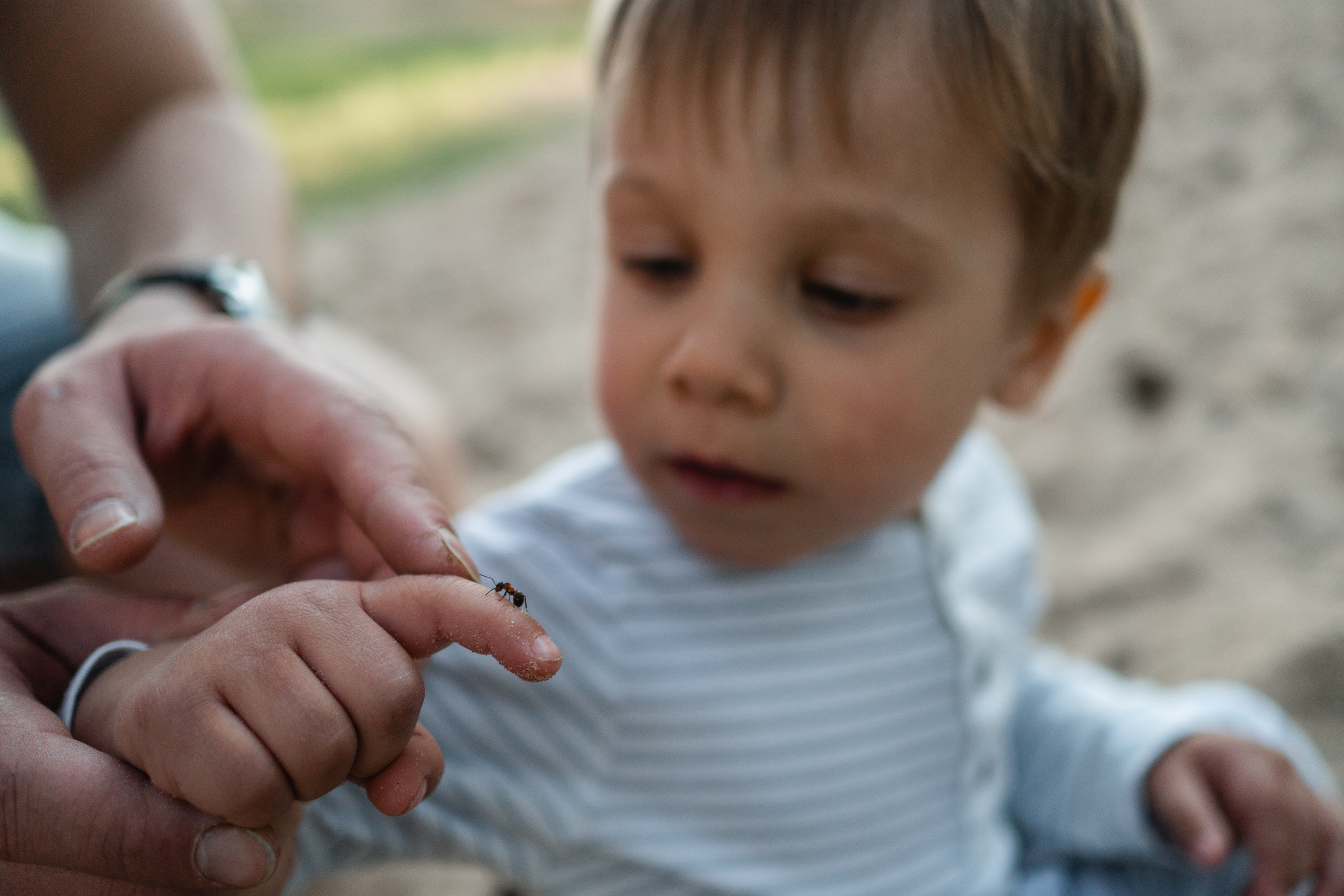 Семейная фотосессия на велосипедах. Семейный и детский фотограф в Санкт-Петербурге Наталья Григорьева