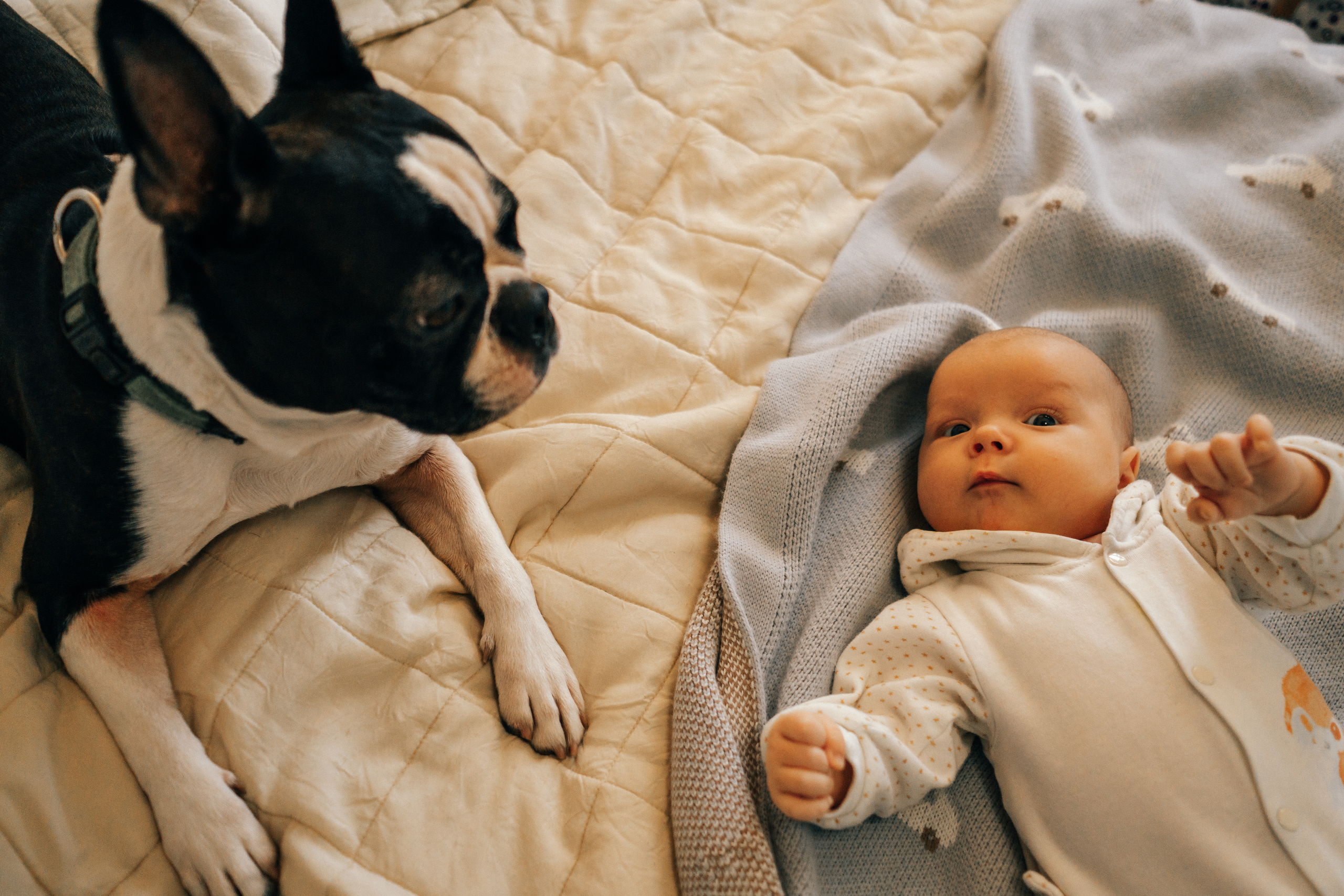 Семейная домашняя фотосессия с собакой в Санкт-Петербурге. Семейный и детский фотограф в Санкт-Петербурге Наталья Григорьева