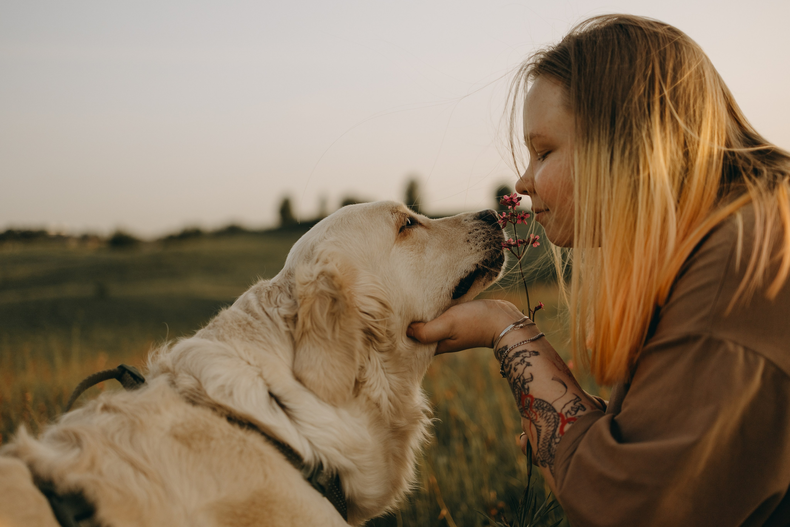 Милка и ребята. Фотограф — Анималист | Санкт-Петербург
