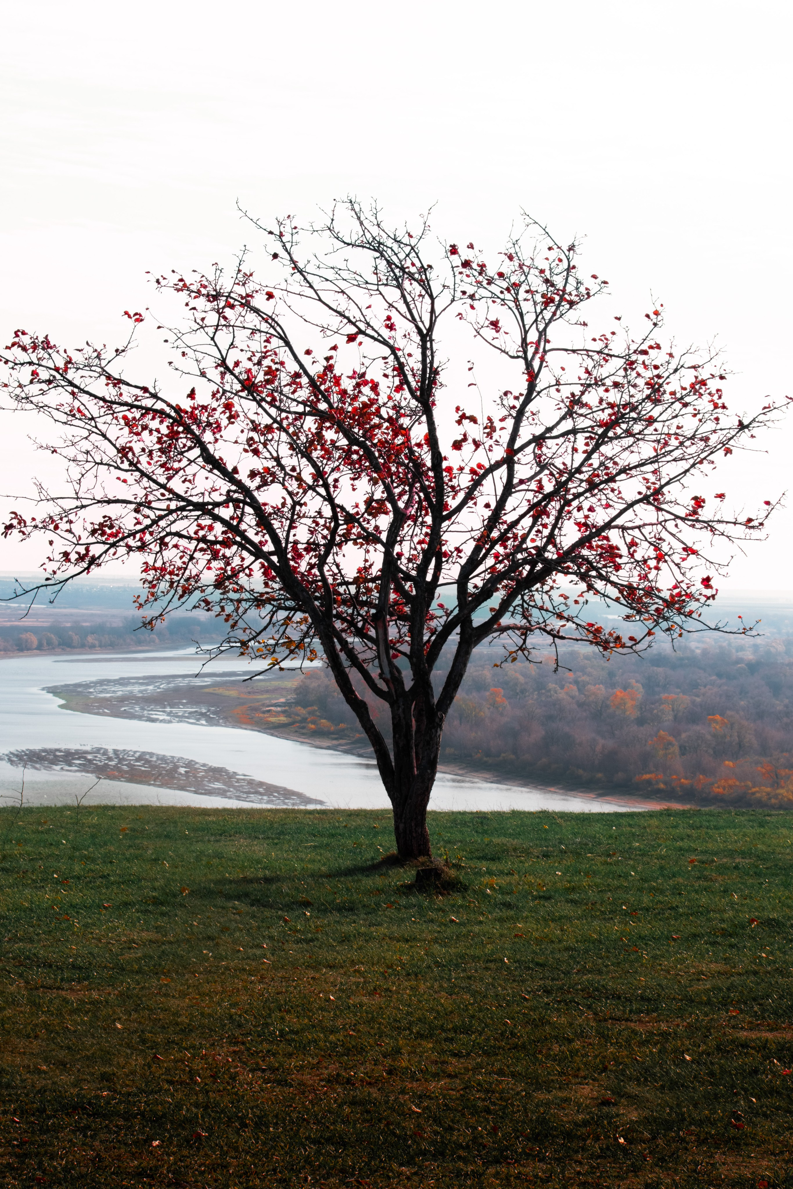 Фотограф/видеограф Богдан Голованов