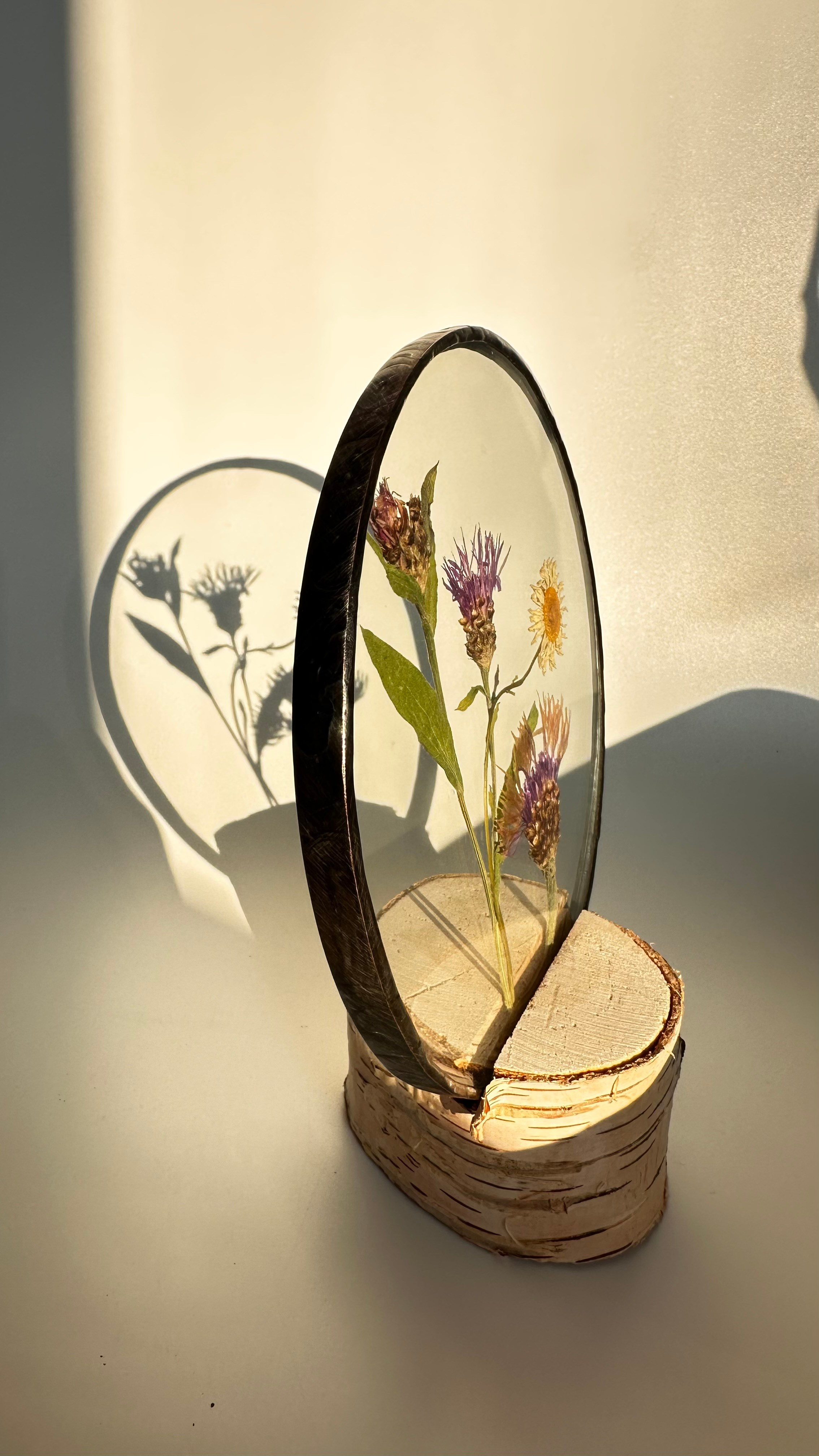 Гербарий в стекле с сухоцветами (витраж в технике тиффани). Гербарий в стекле, интерьерные панно, витражи с сухоцветами в технике тиффани