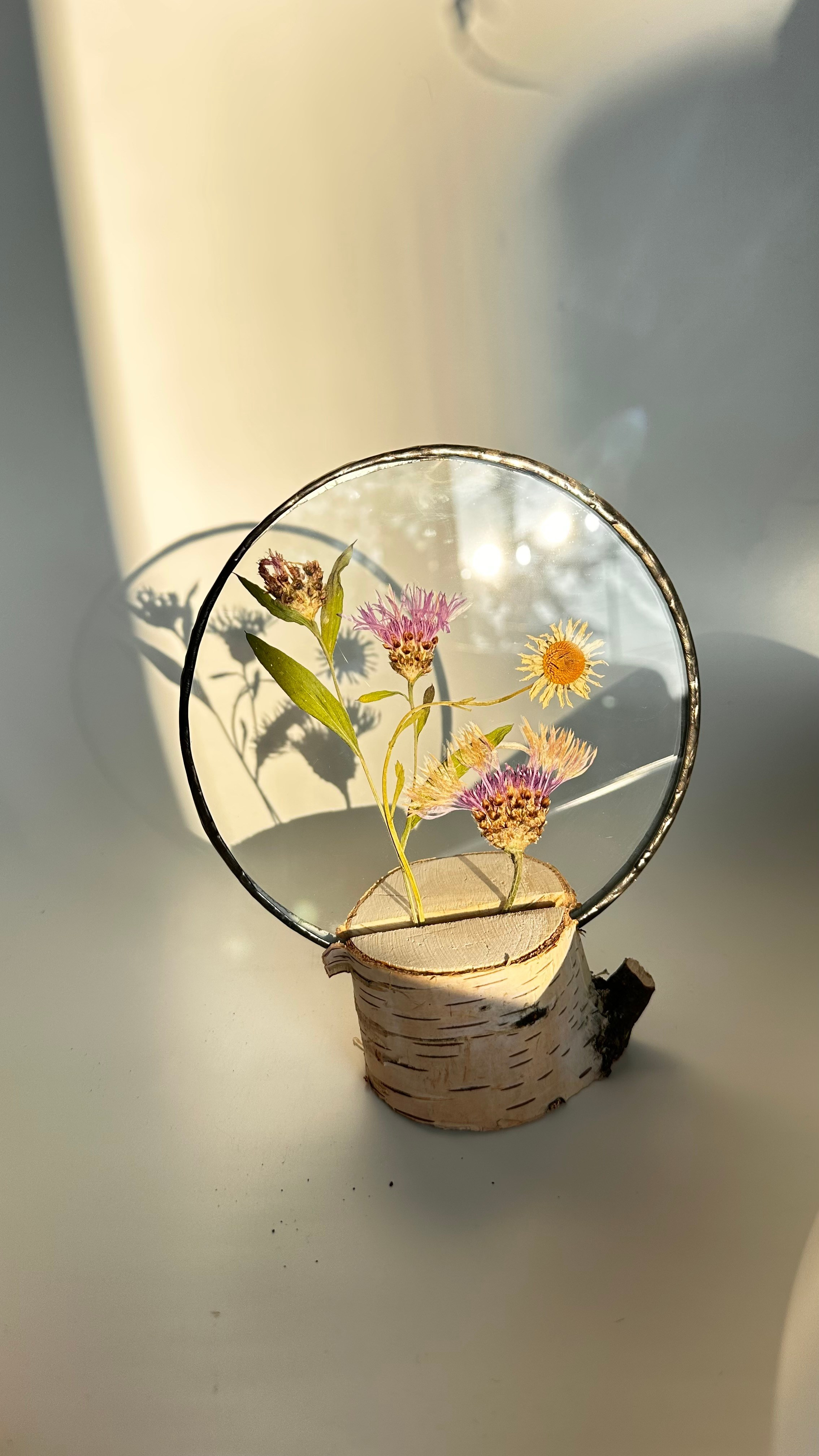 Гербарий в стекле с сухоцветами (витраж в технике тиффани). Гербарий в стекле, интерьерные панно, витражи с сухоцветами в технике тиффани