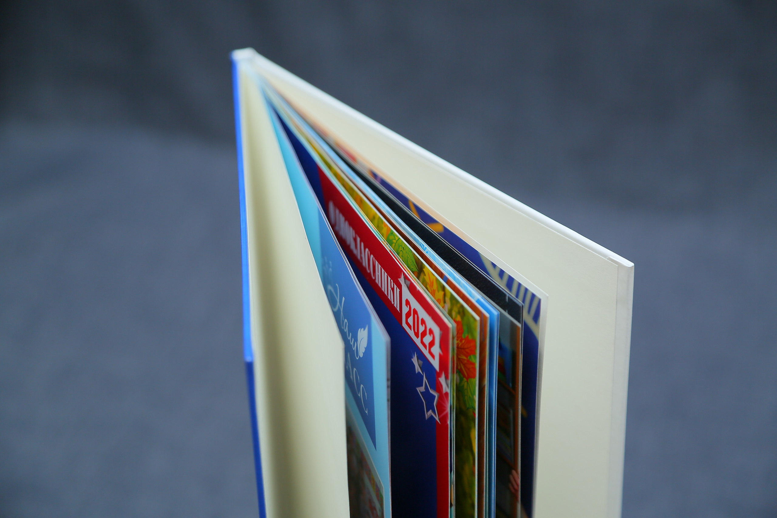 ЦЕНЫ НА ВЫПУСКНЫЕ АЛЬБОМЫ школа. Детский и Школьный фотограф Светлана Гулова