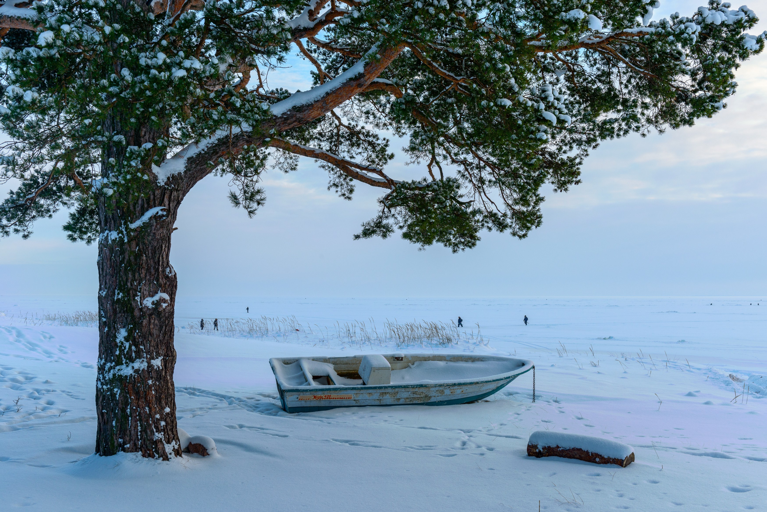 Landscape, nature, plants, details of the world around us. Personal website of photographer Dmitry Raikin