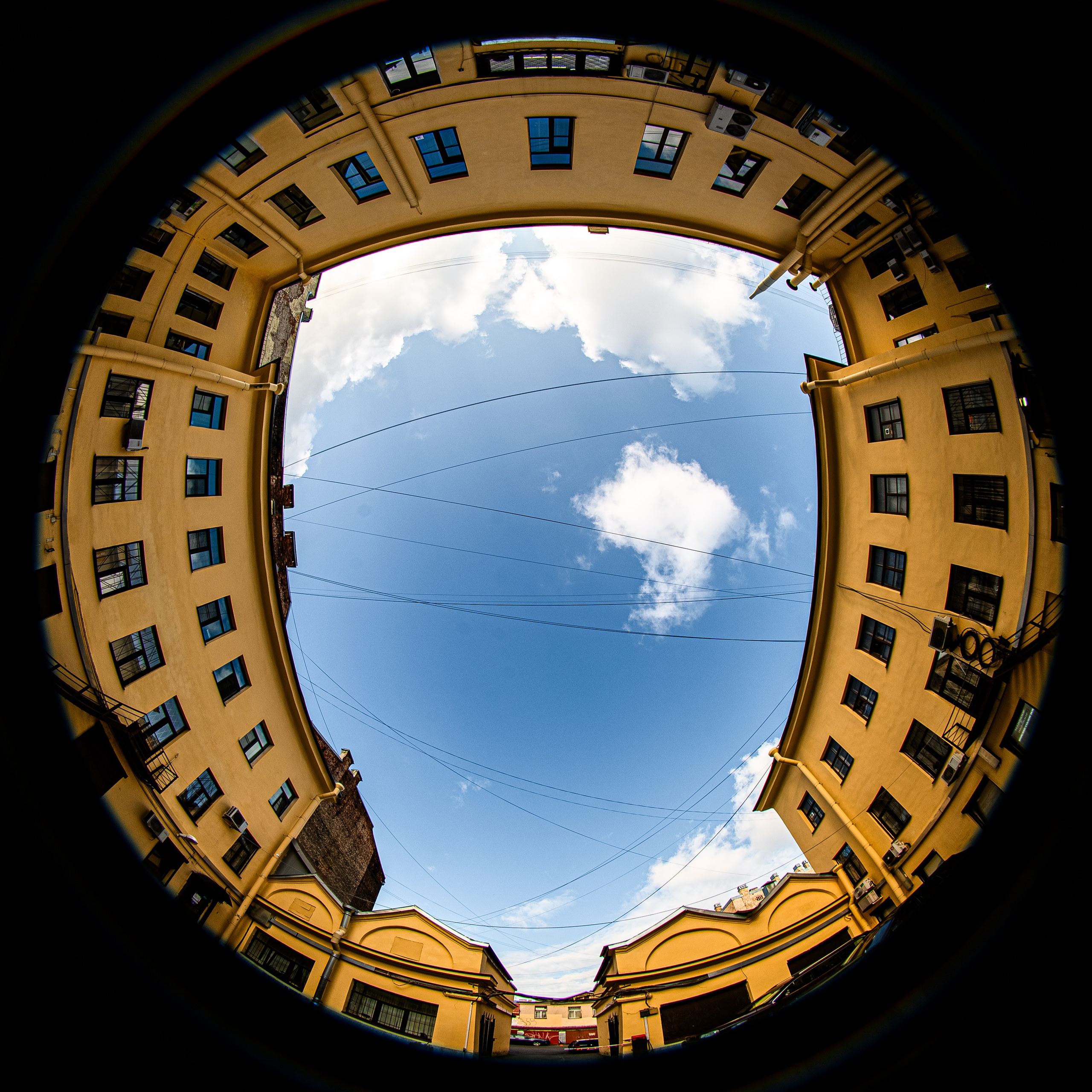 6-я линия В.О., 21