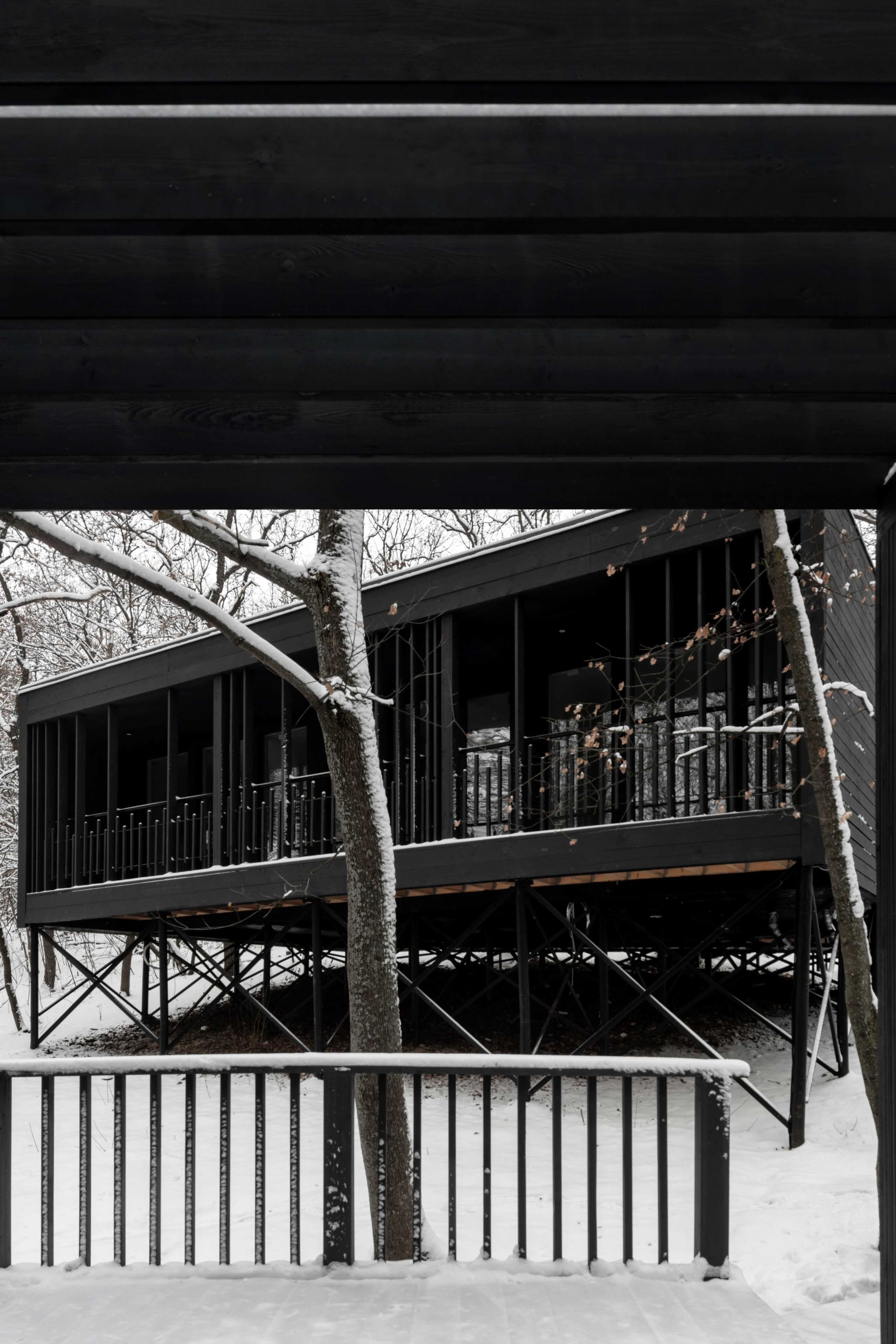 ХОЛМ. SAAS Селиванов Алексей Архитектурная Студия