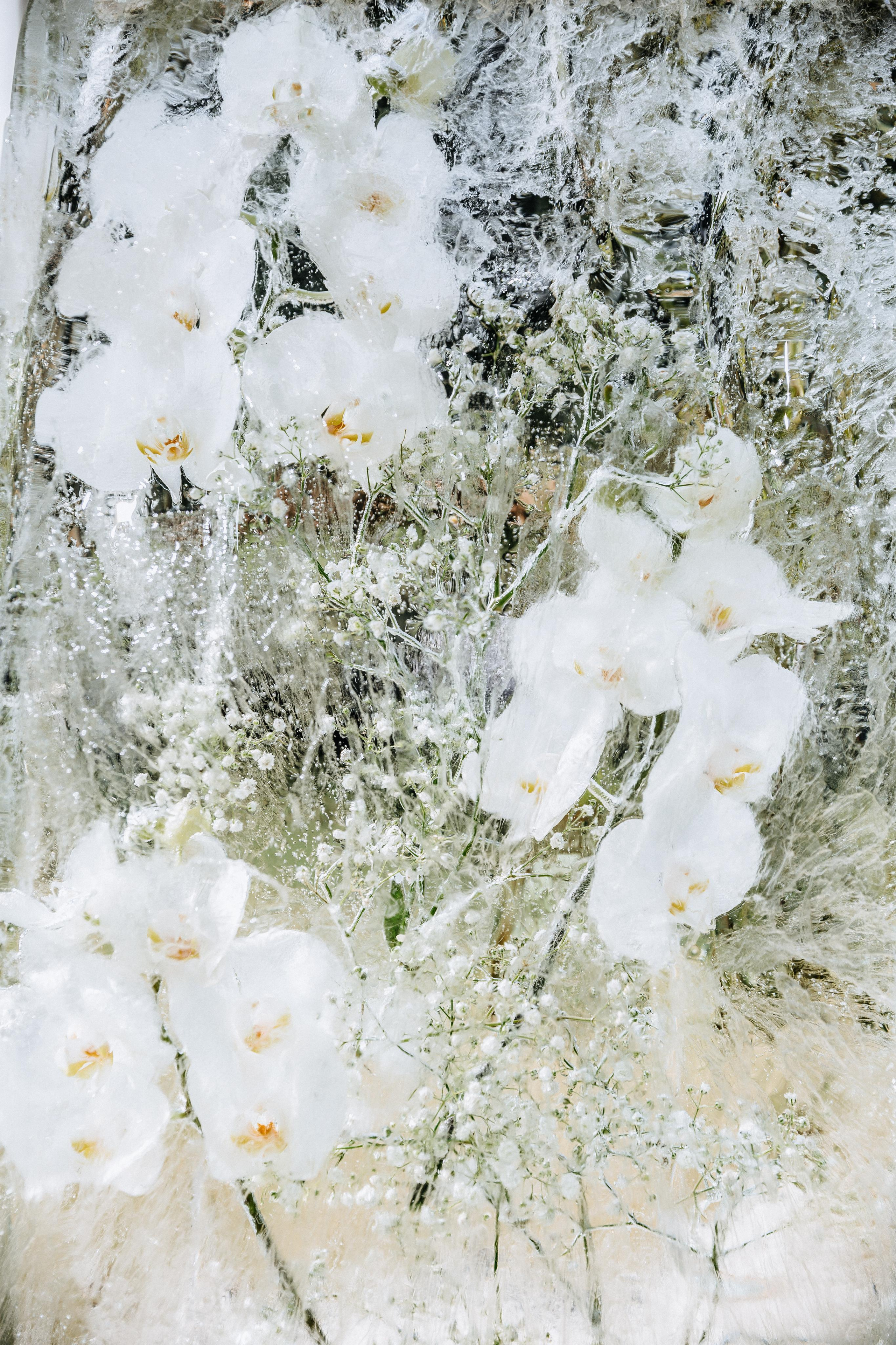 Свадьба Елизаветы и Сергея. Tuman Film | Видеосъемка в Сочи и Дубае | Андрей Калитухо