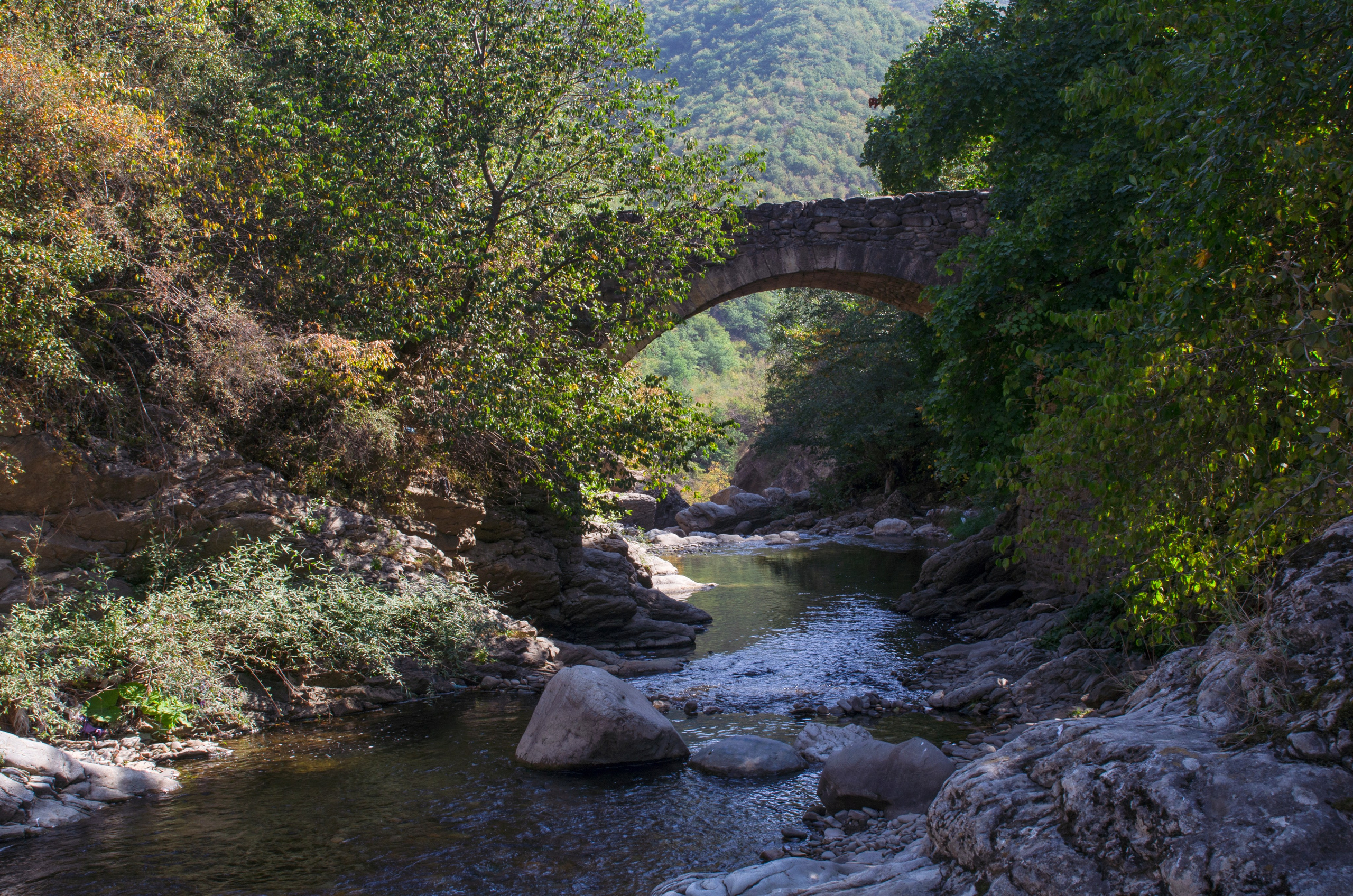 Природа. Фотограф Владимир Охрименко