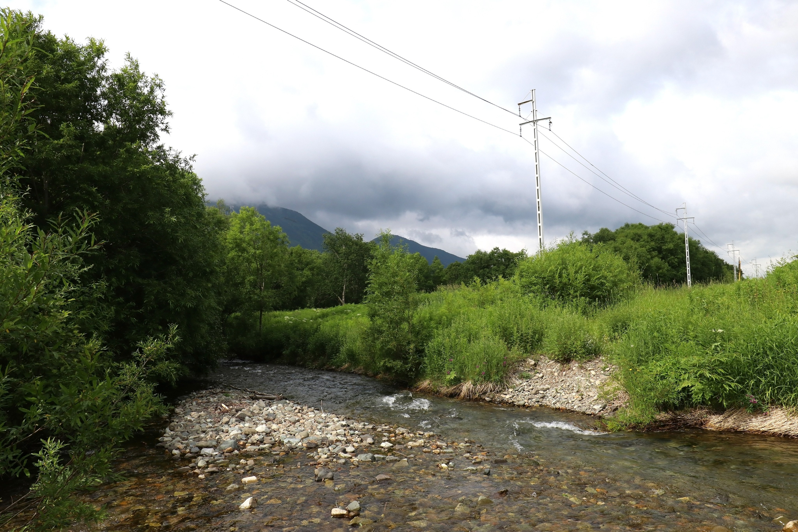 Камчатка и о. Парамушир. Июль 2024. Путешественник-фотограф из Санкт-Петербурга Татьяна Свистулина