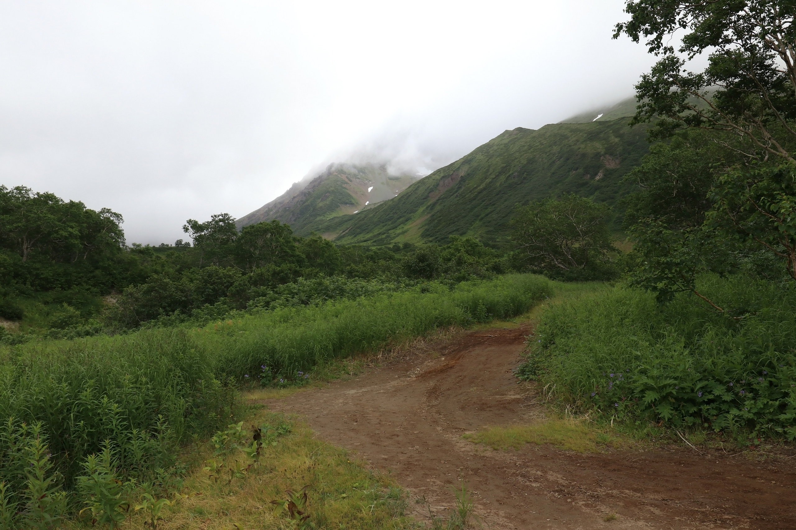 Камчатка и о. Парамушир. Июль 2024. Путешественник-фотограф из Санкт-Петербурга Татьяна Свистулина