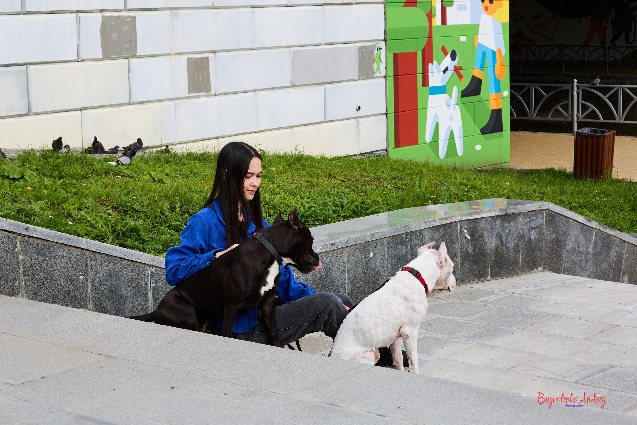 Проект фотопрогулка с хвостиком. Buyvolenko Andrey