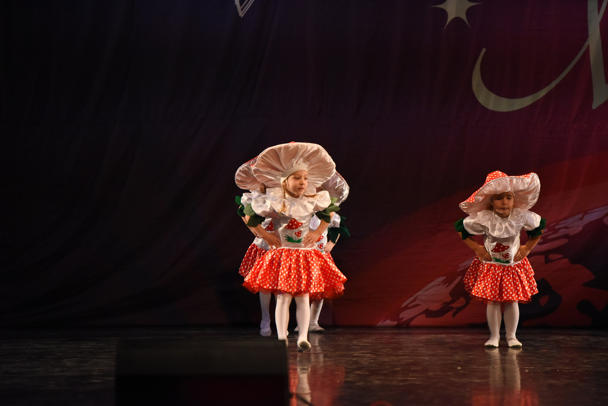 13 декабря, г. Калининград. Золотое яблочко