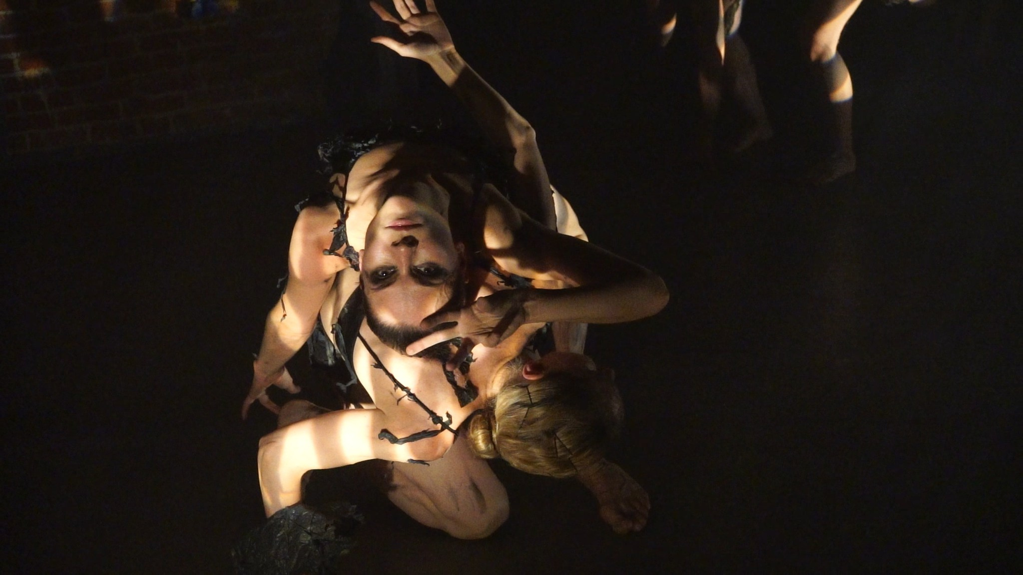 Красное дерево. Фото / Видеосъемка в Москве