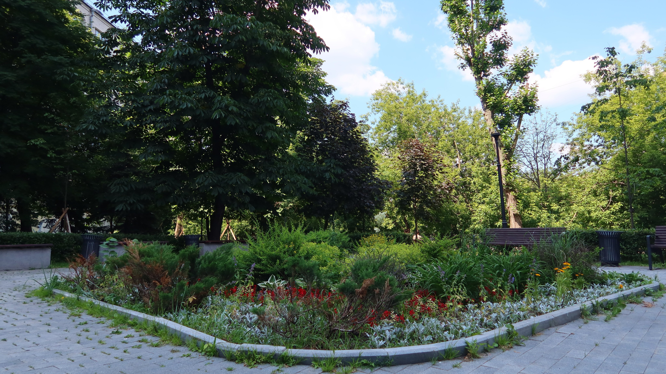 Антроповский сквер. Улица, люди, жизнь…