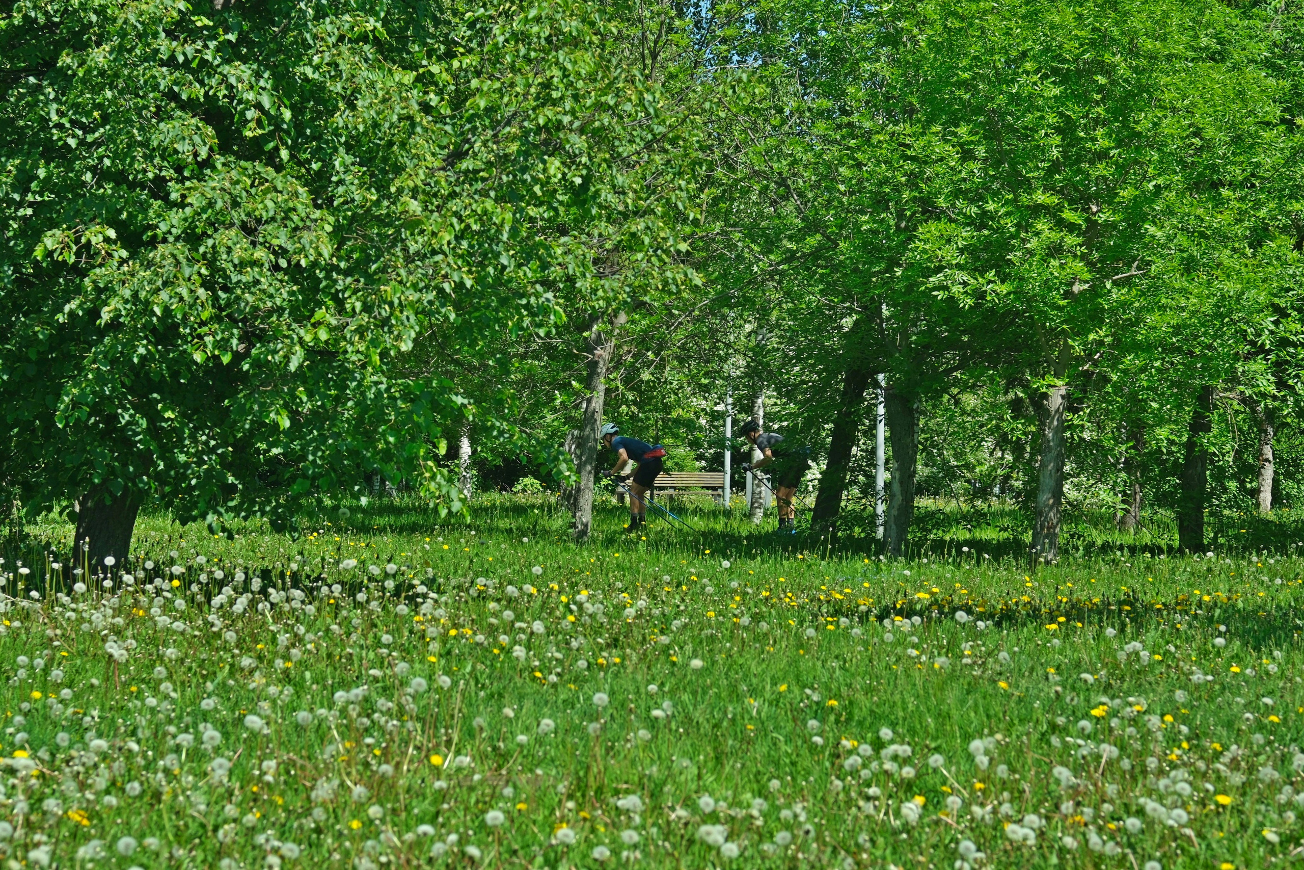 Парк 850 лет Москве. Улица, люди, жизнь…