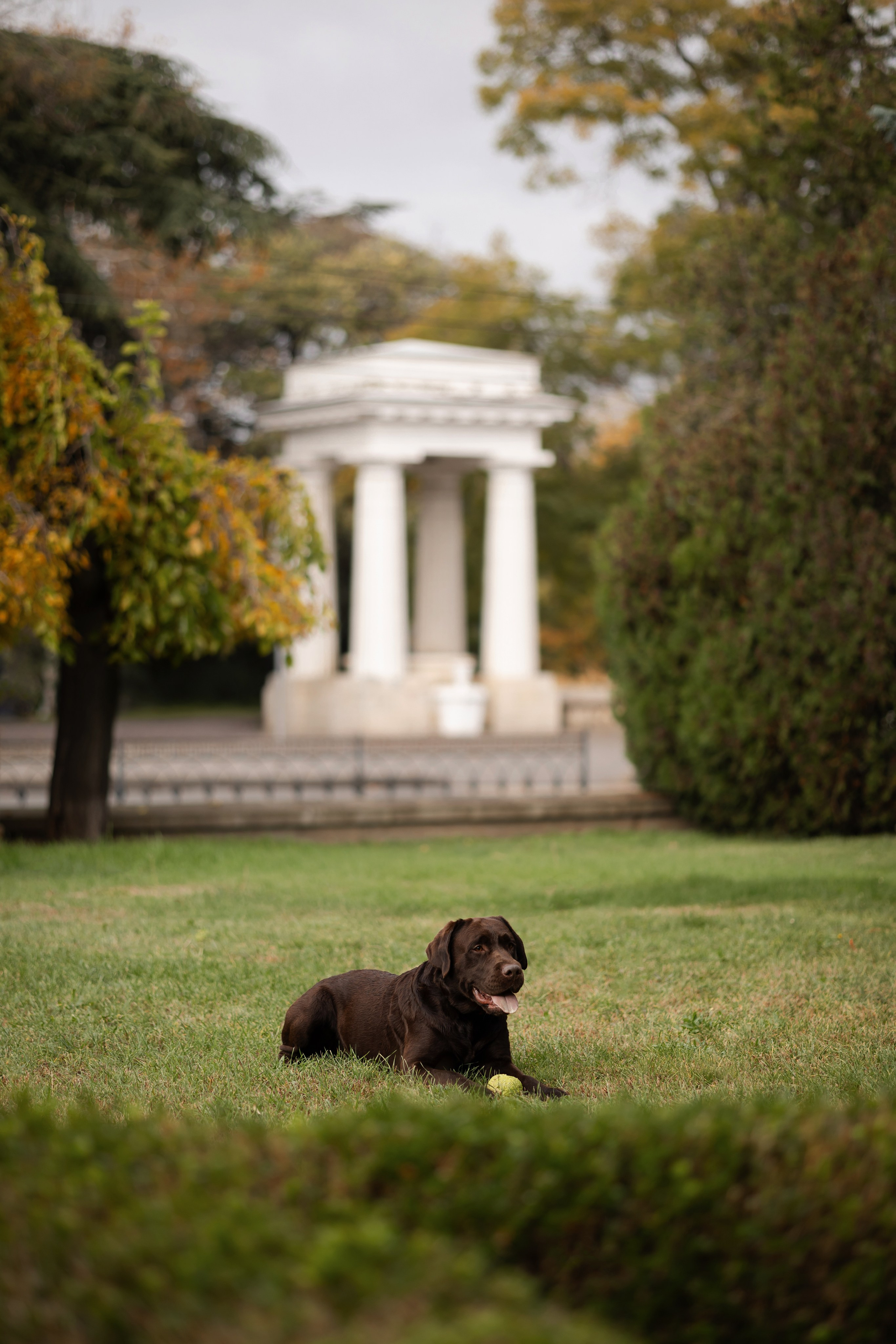 Фотосессия в центре Севастополя. Фотограф-анималист в Краснодаре Маша Мельникова