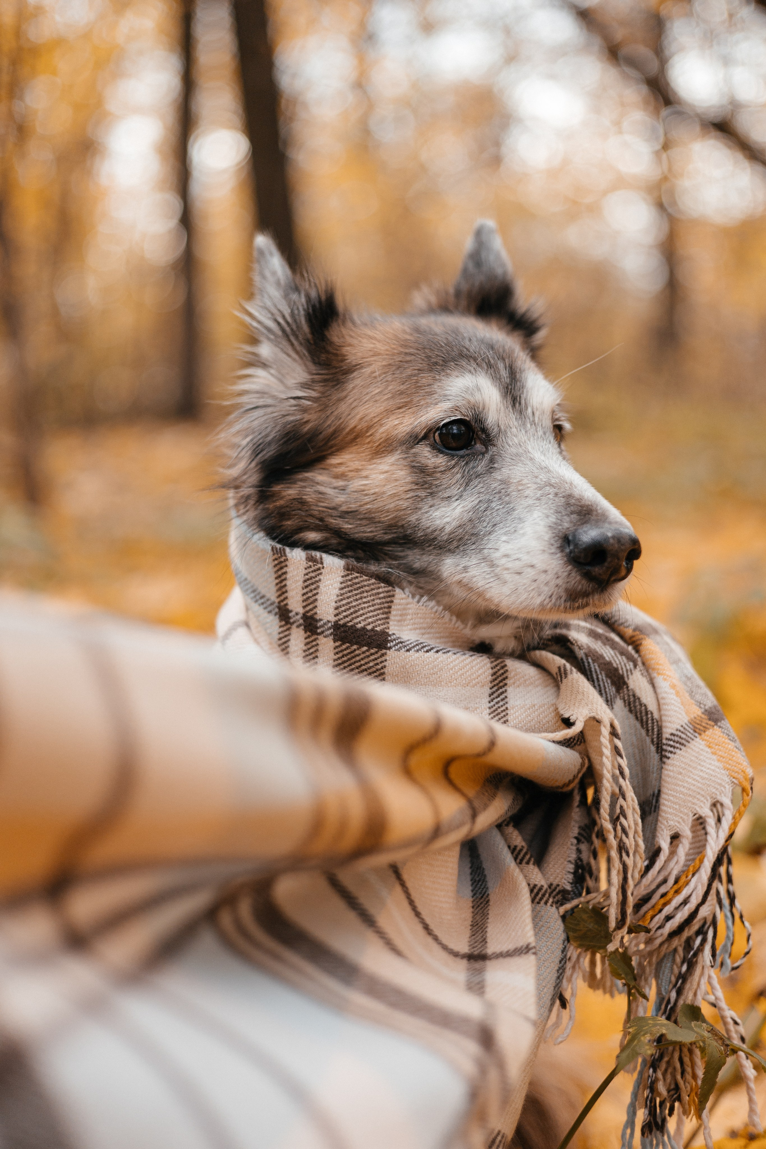 Аня и Ириска. Фотограф Анна Луценко Москва