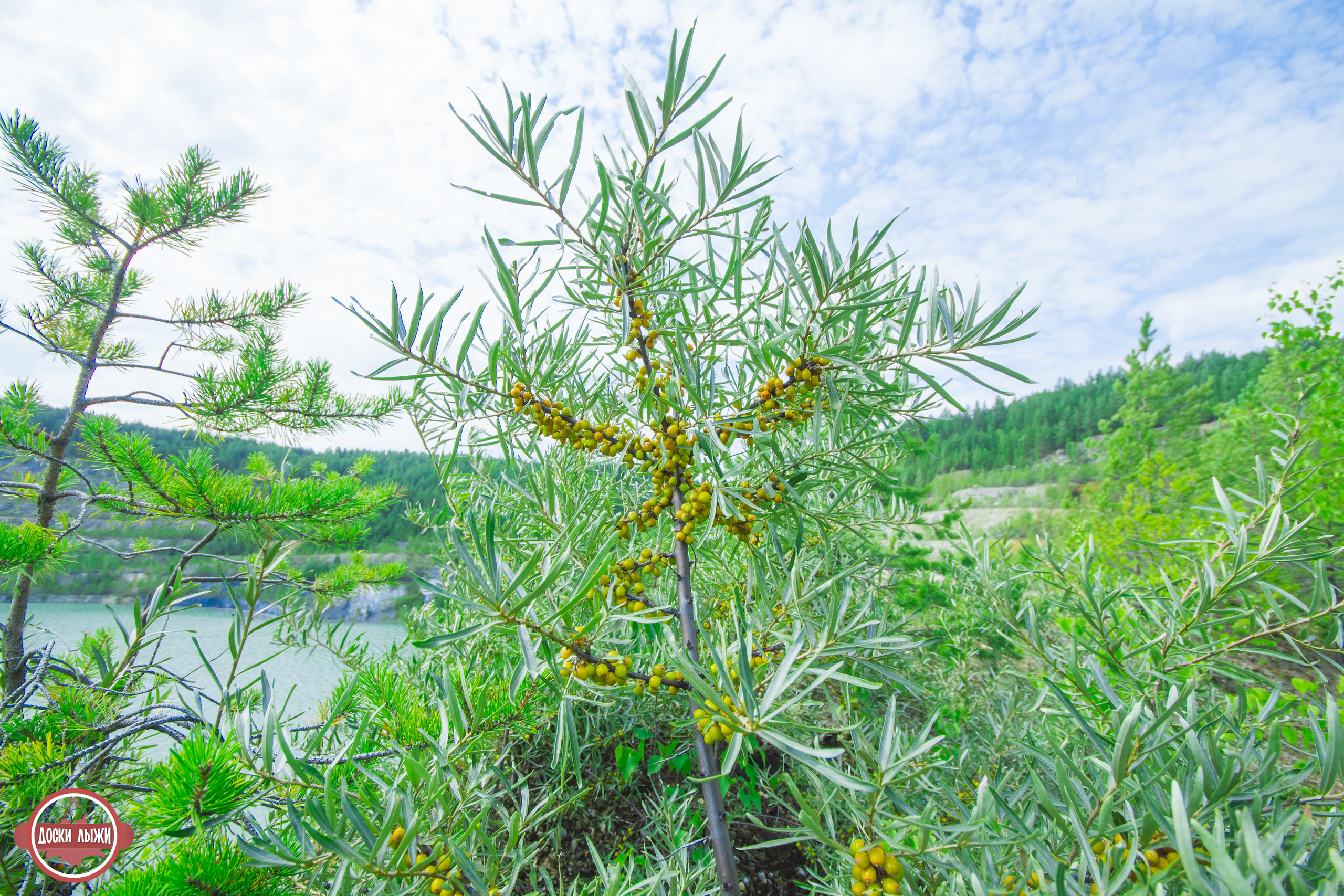 Черемшанские карьеры, оленья ферма и озеро Иткуль. Свадебный фотограф в Екатеринбурге Полевской Соликамск