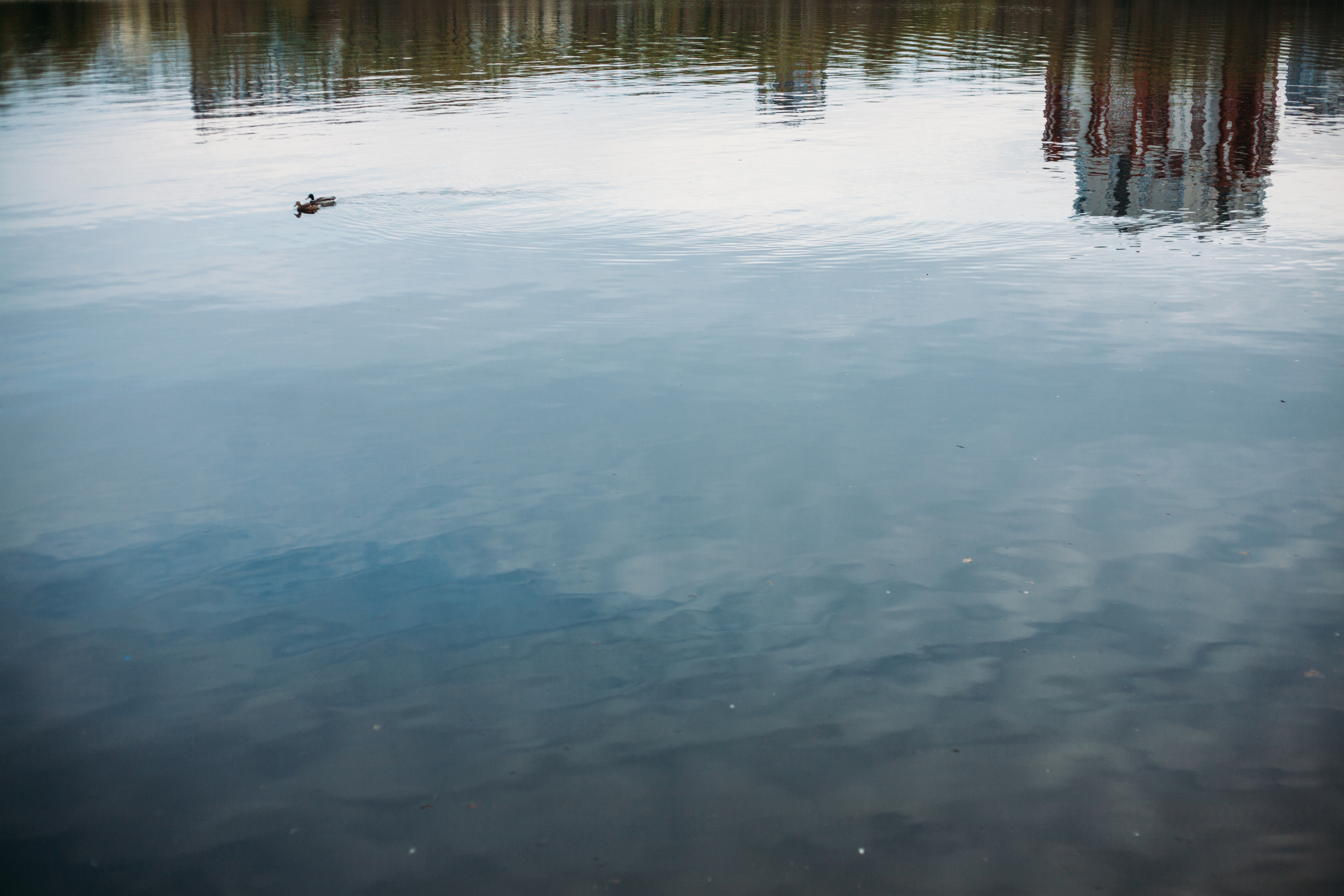 Плотинка. Свадебный фотограф в Екатеринбурге Полевской Соликамск