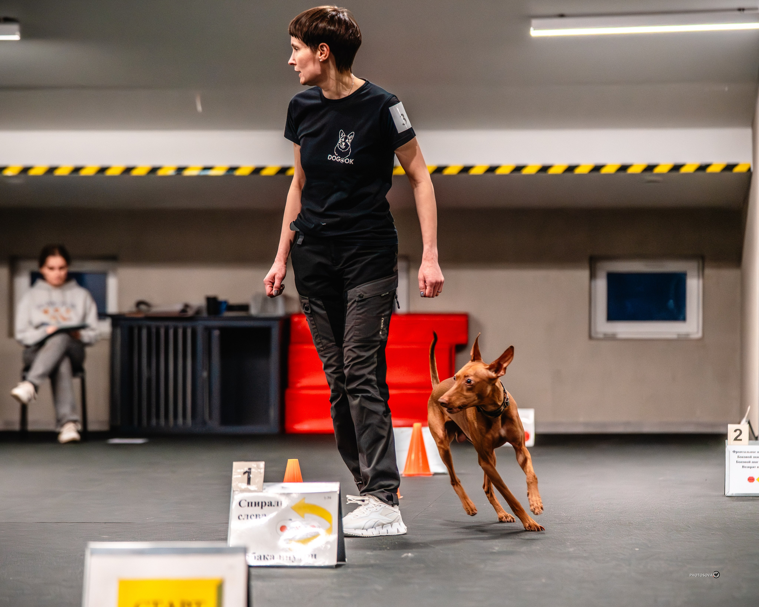 ТЫ И Я (соревнования по ралли-обидиенс). Фотограф-анималист, семейный фотограф в Москве и Подмосковье. Фотосъёмка кинологических дисциплин