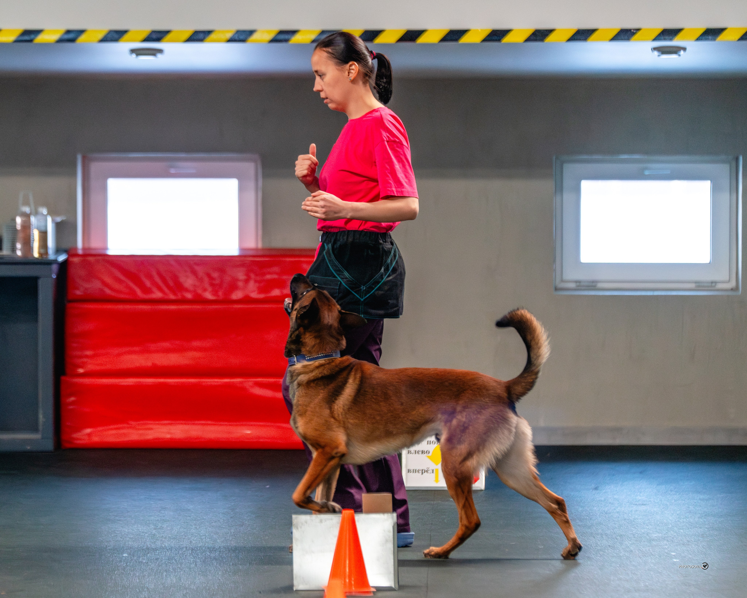 ТЫ И Я (соревнования по ралли-обидиенс). Фотограф-анималист, семейный фотограф в Москве и Подмосковье. Фотосъёмка кинологических дисциплин