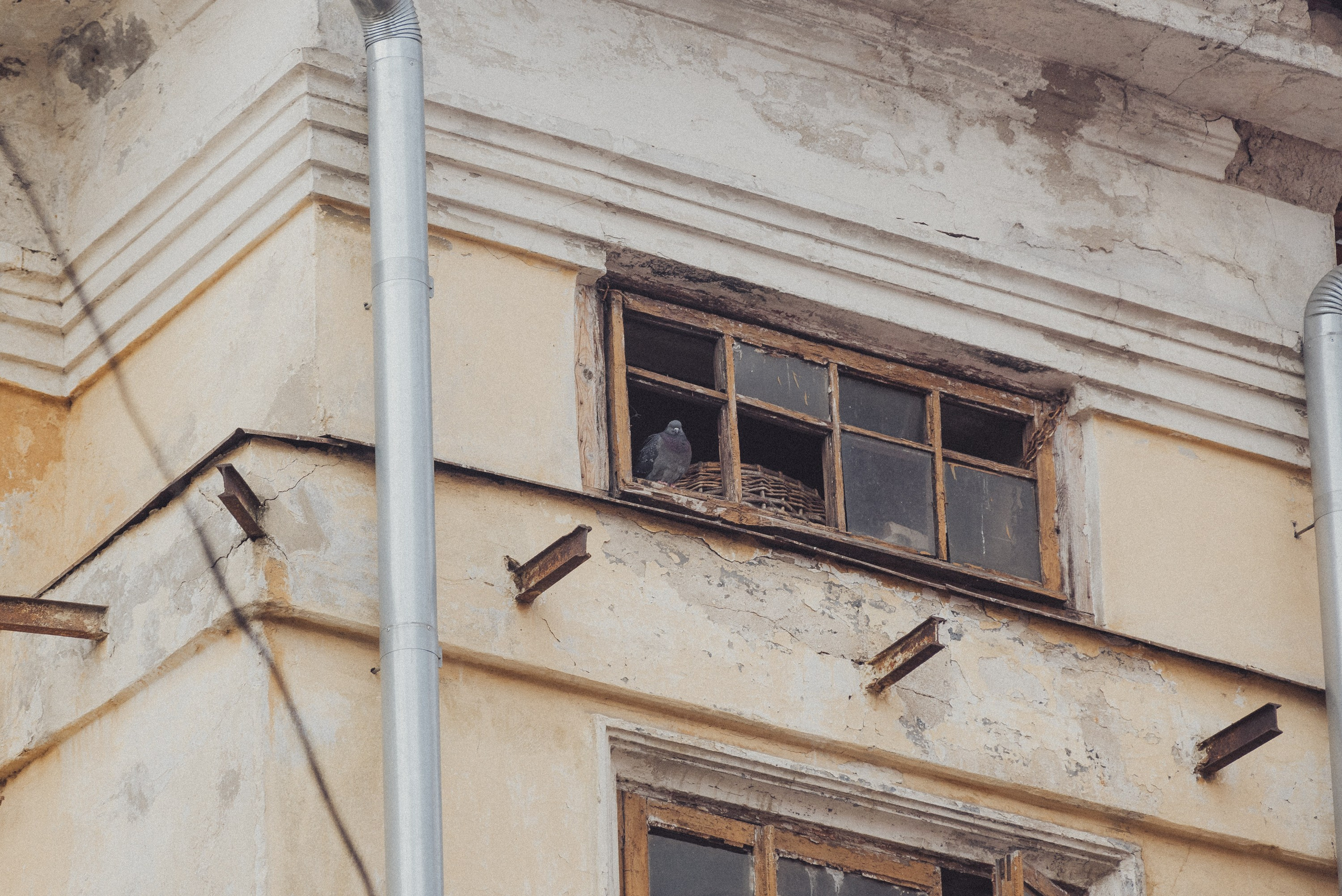 Проект #улицыгорода. Ярославль, ул. Республиканская. Документальный фотограф Илья Тихановский