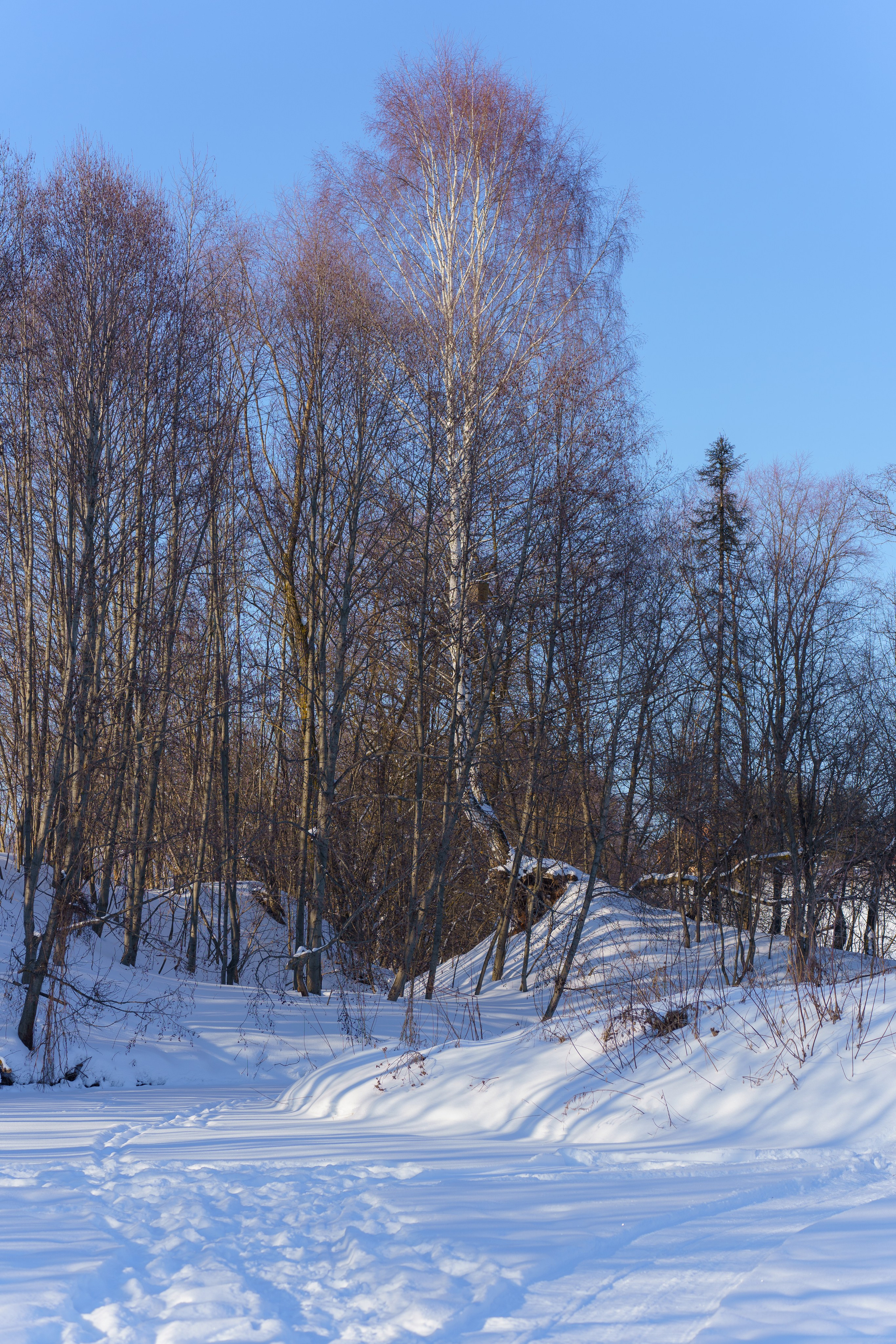 Семинар по безопасности в туризме