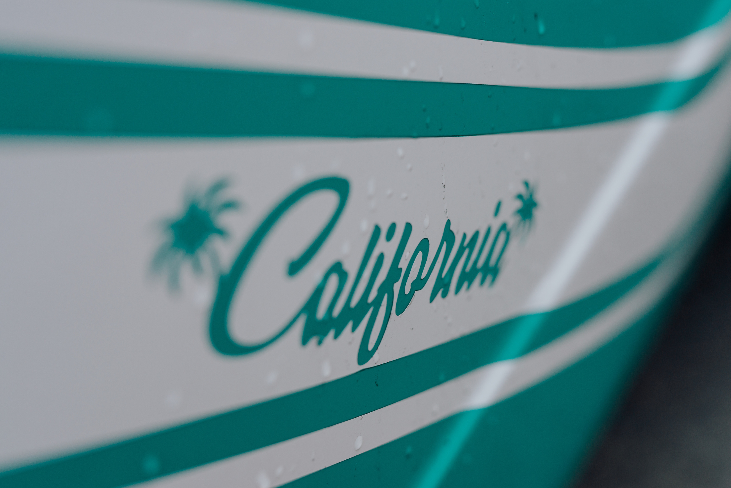 Круиз. Фотограф в Санкт-Петербурге и Ленинградской области