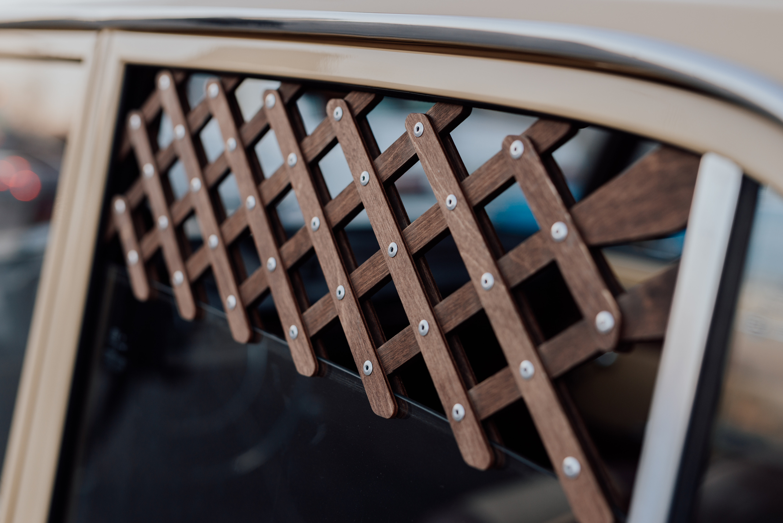 Круиз. Фотограф в Санкт-Петербурге и Ленинградской области