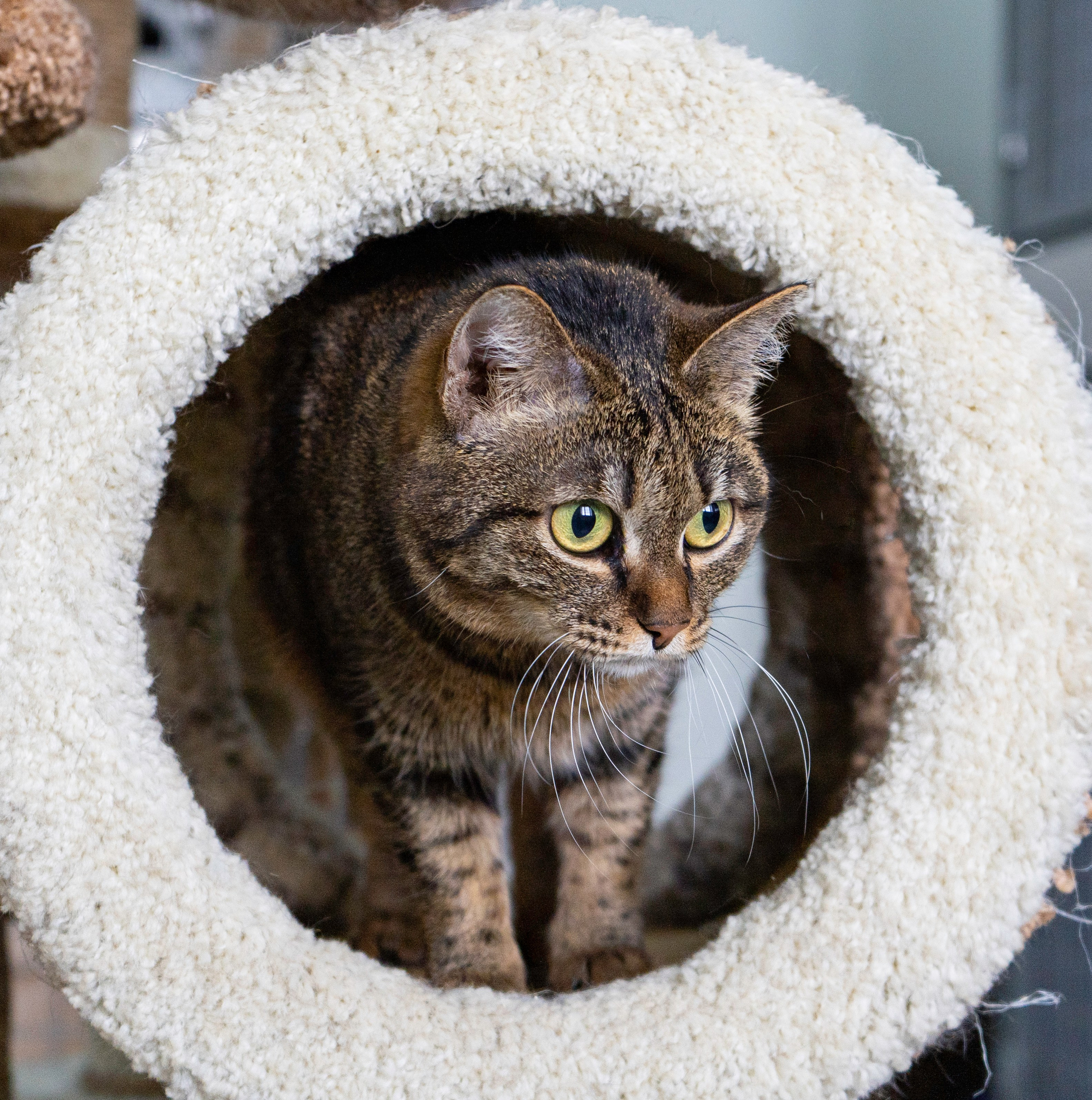 Бездомыши. Фотограф Екатерина Зорина