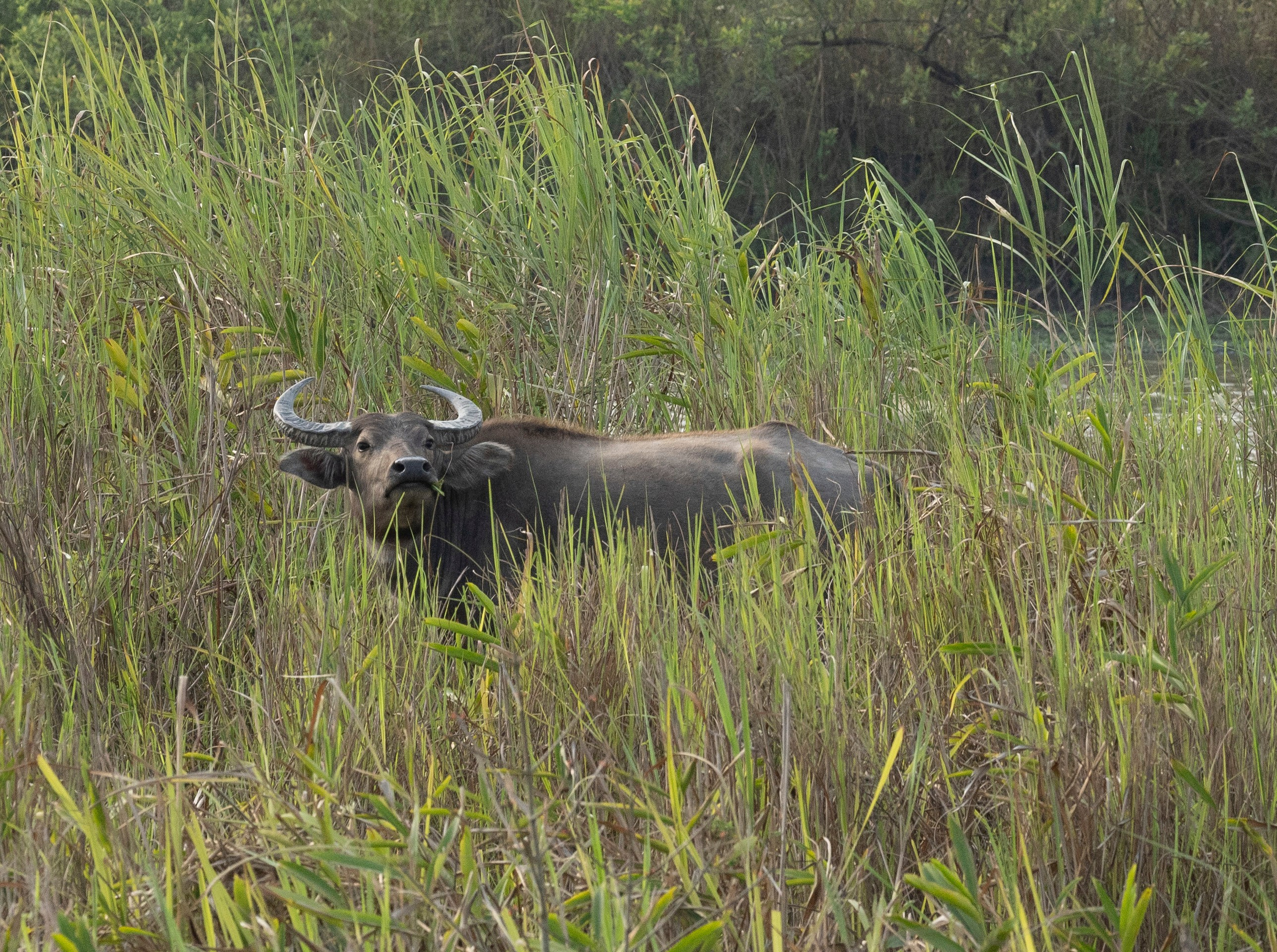 India travel. Фотограф Сергей Танков