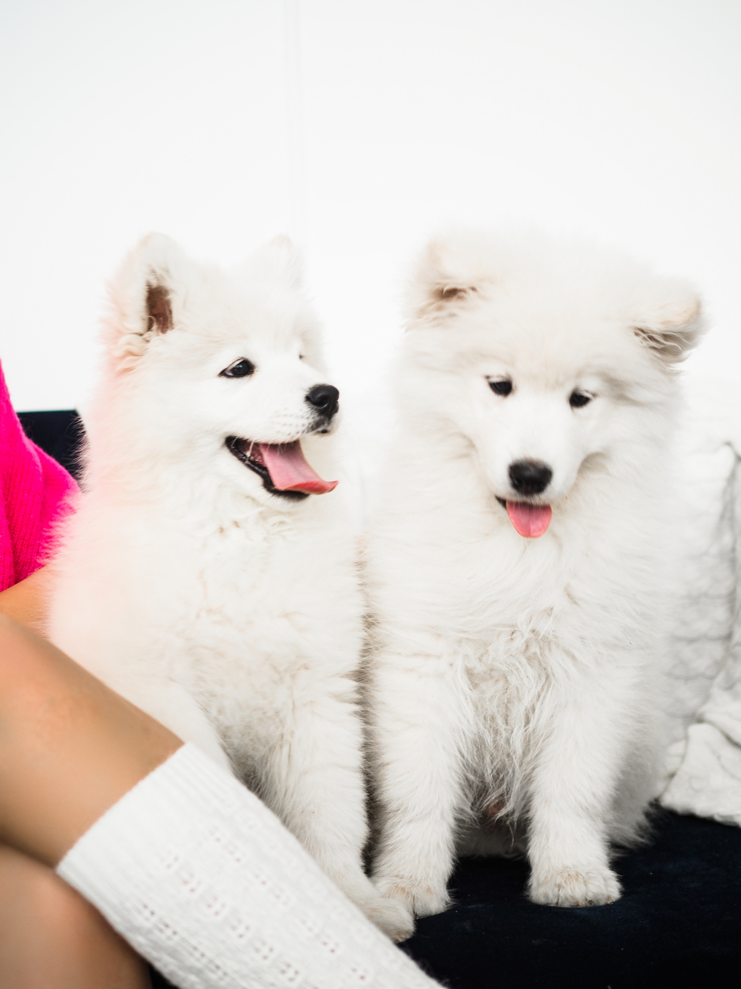 2. Фотограф Смоленск Дина Петровская